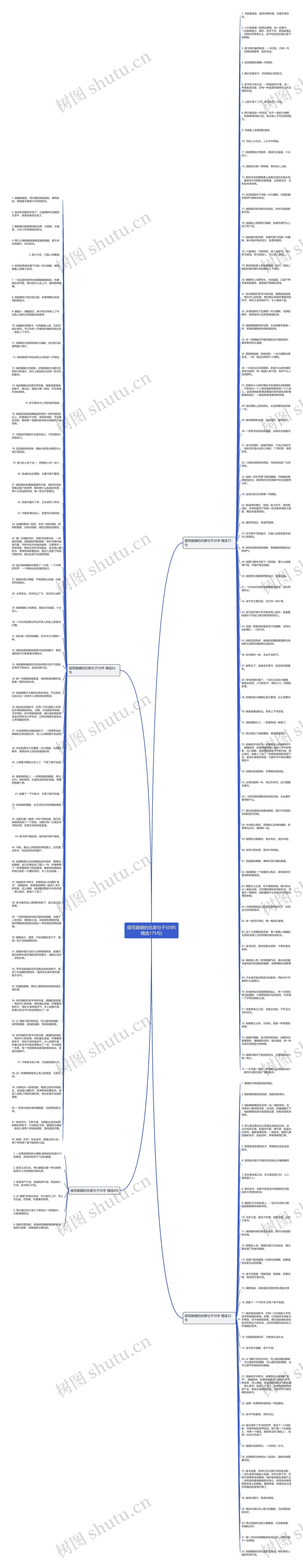描写眼睛的优美句子50字(精选175句)思维导图