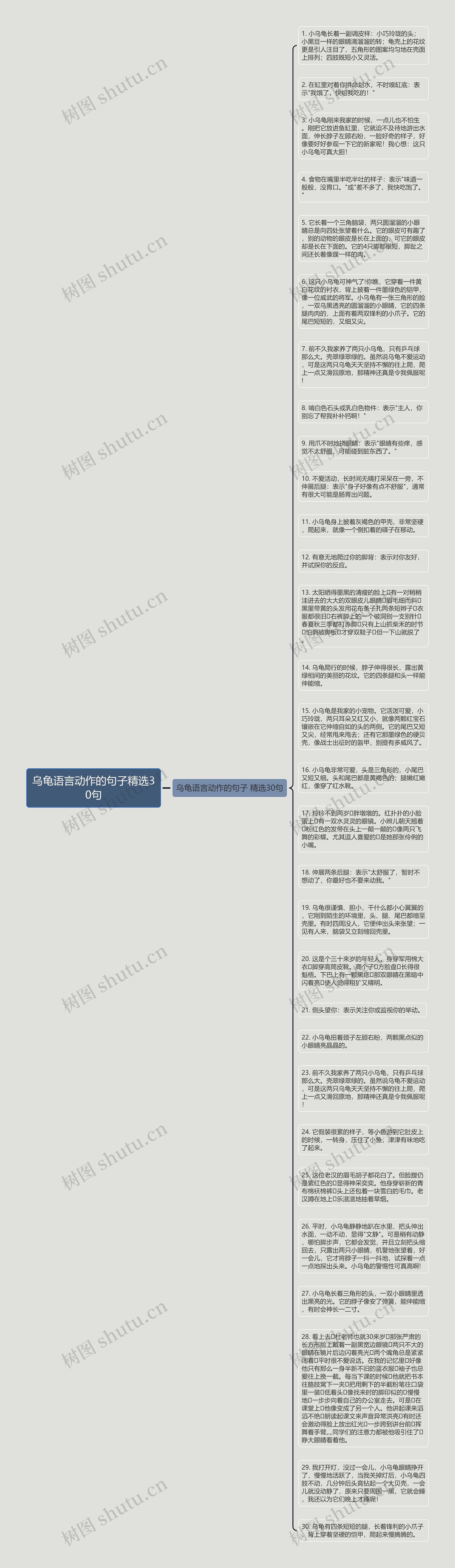 乌龟语言动作的句子精选30句思维导图