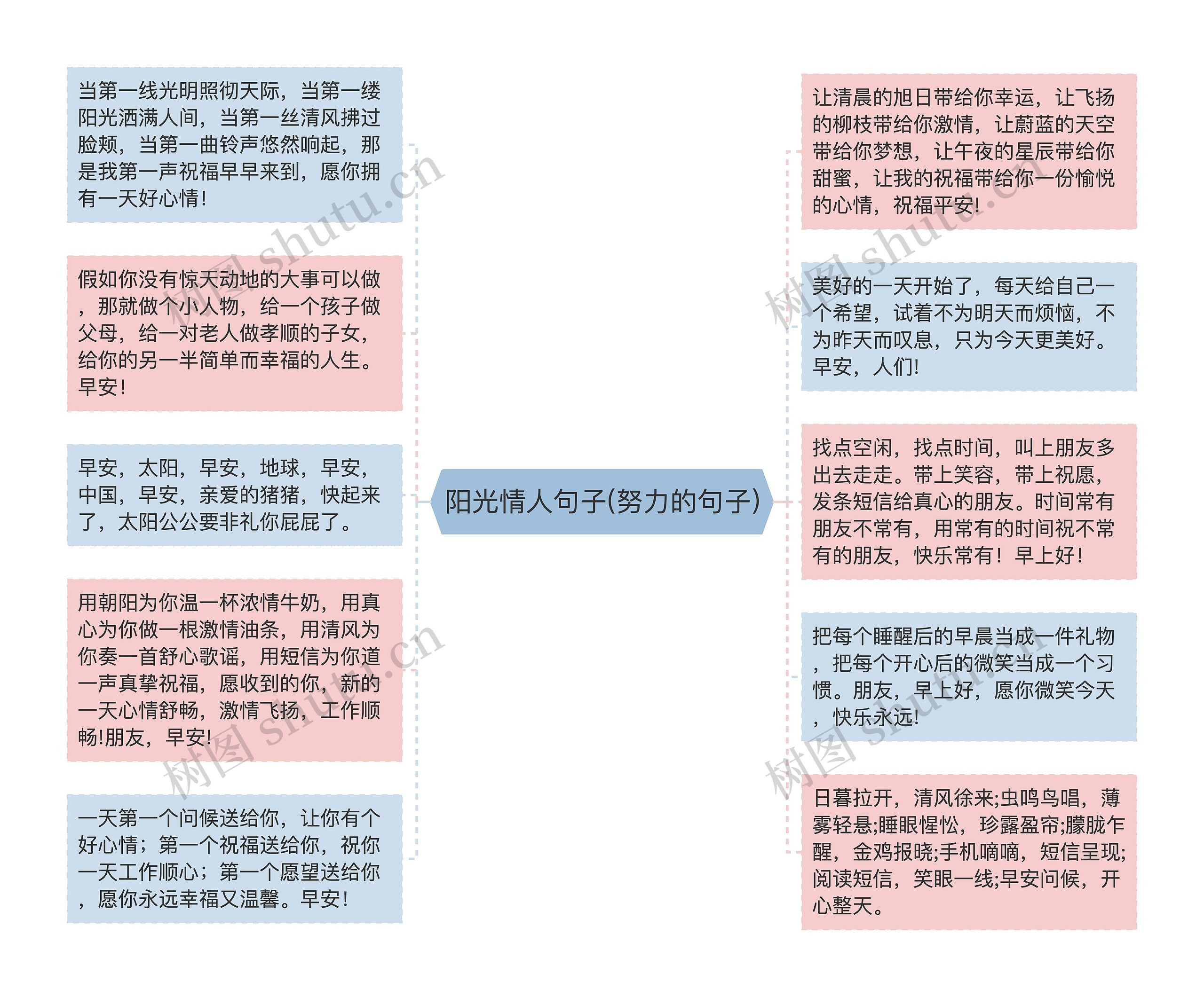 阳光情人句子(努力的句子)