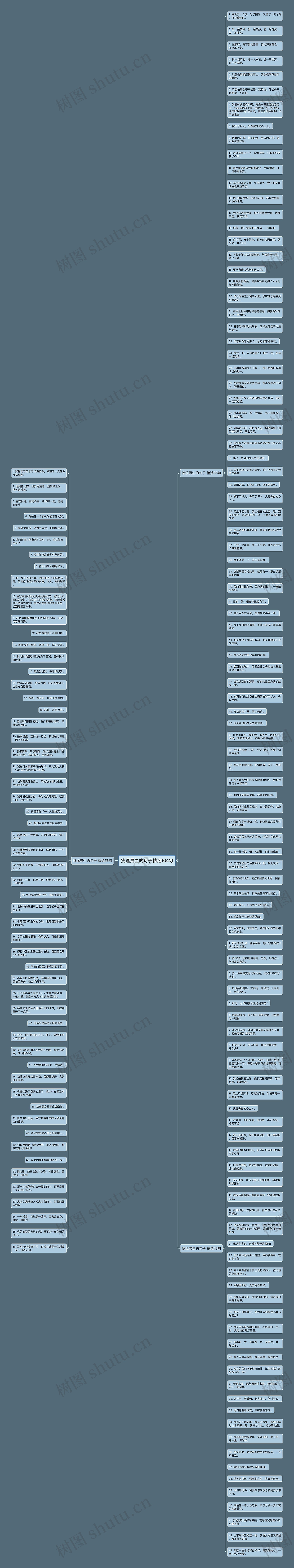 挑逗男生的句子精选164句思维导图