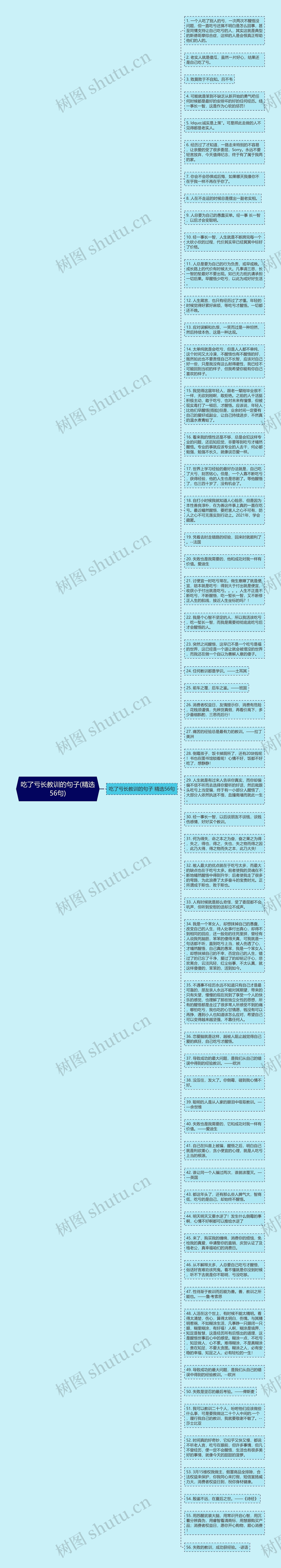 吃了亏长教训的句子(精选56句)思维导图