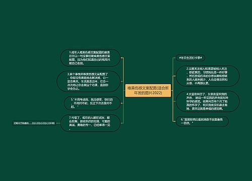 唯美伤感文案配图(适合新年发的图片2022)