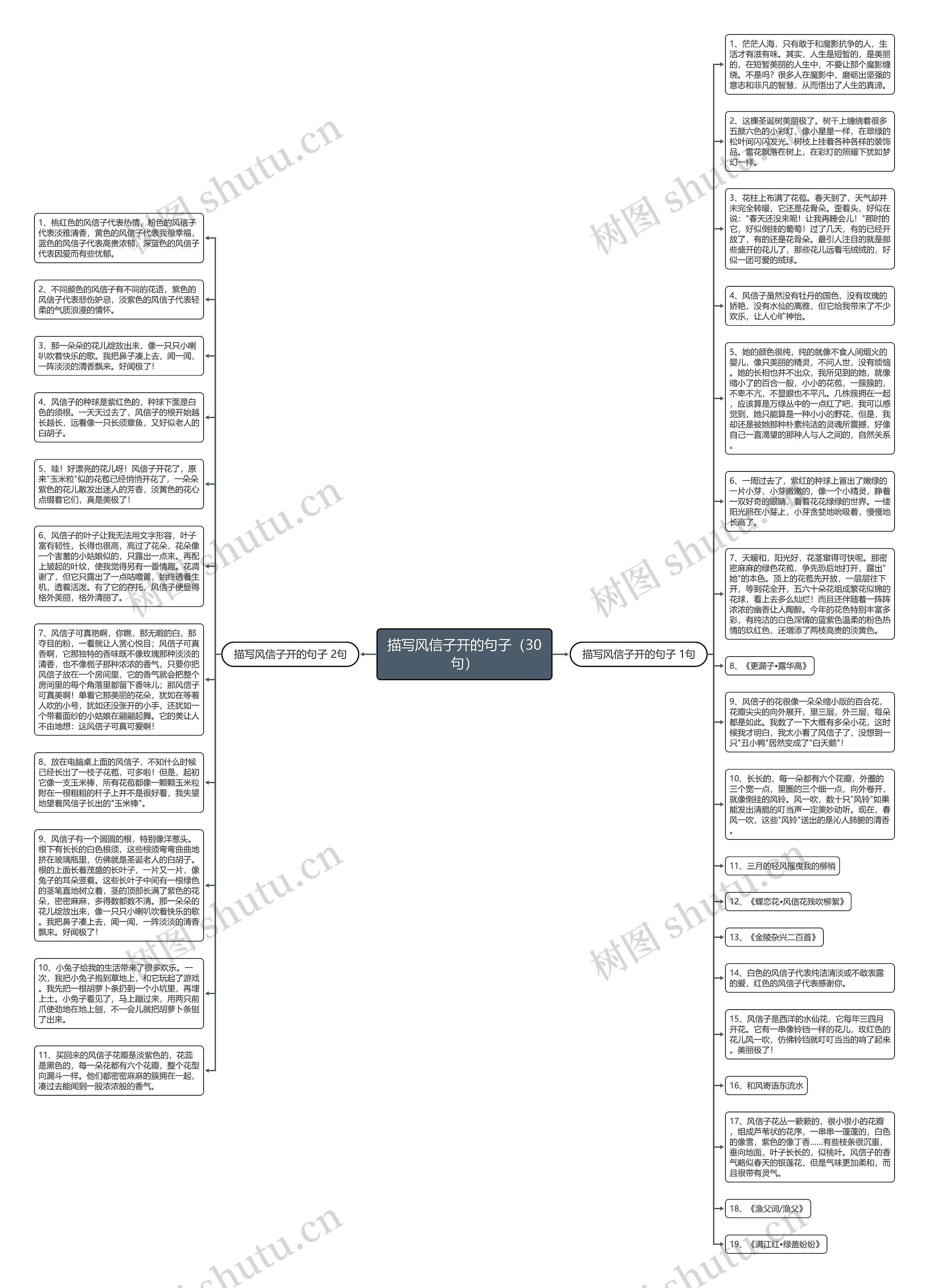 描写风信子开的句子（30句）思维导图
