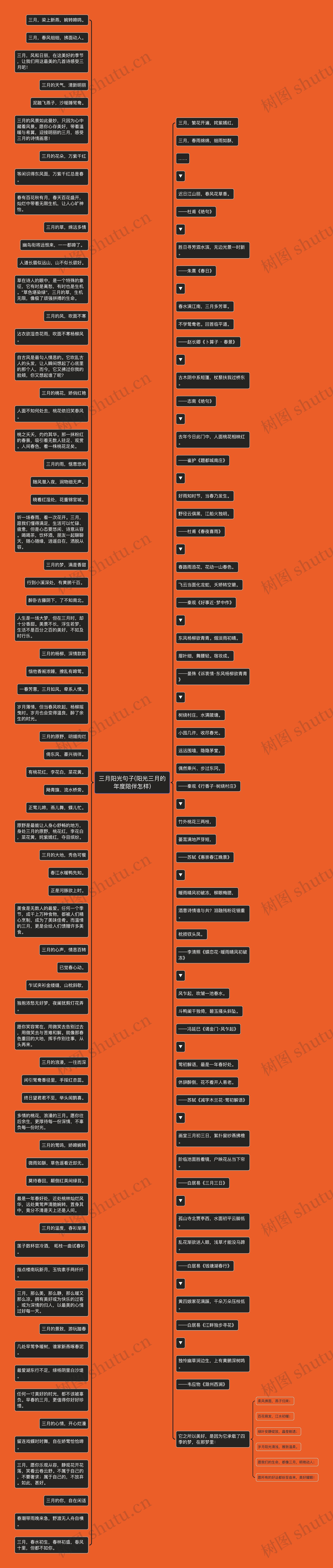 三月阳光句子(阳光三月的年度陪伴怎样)思维导图