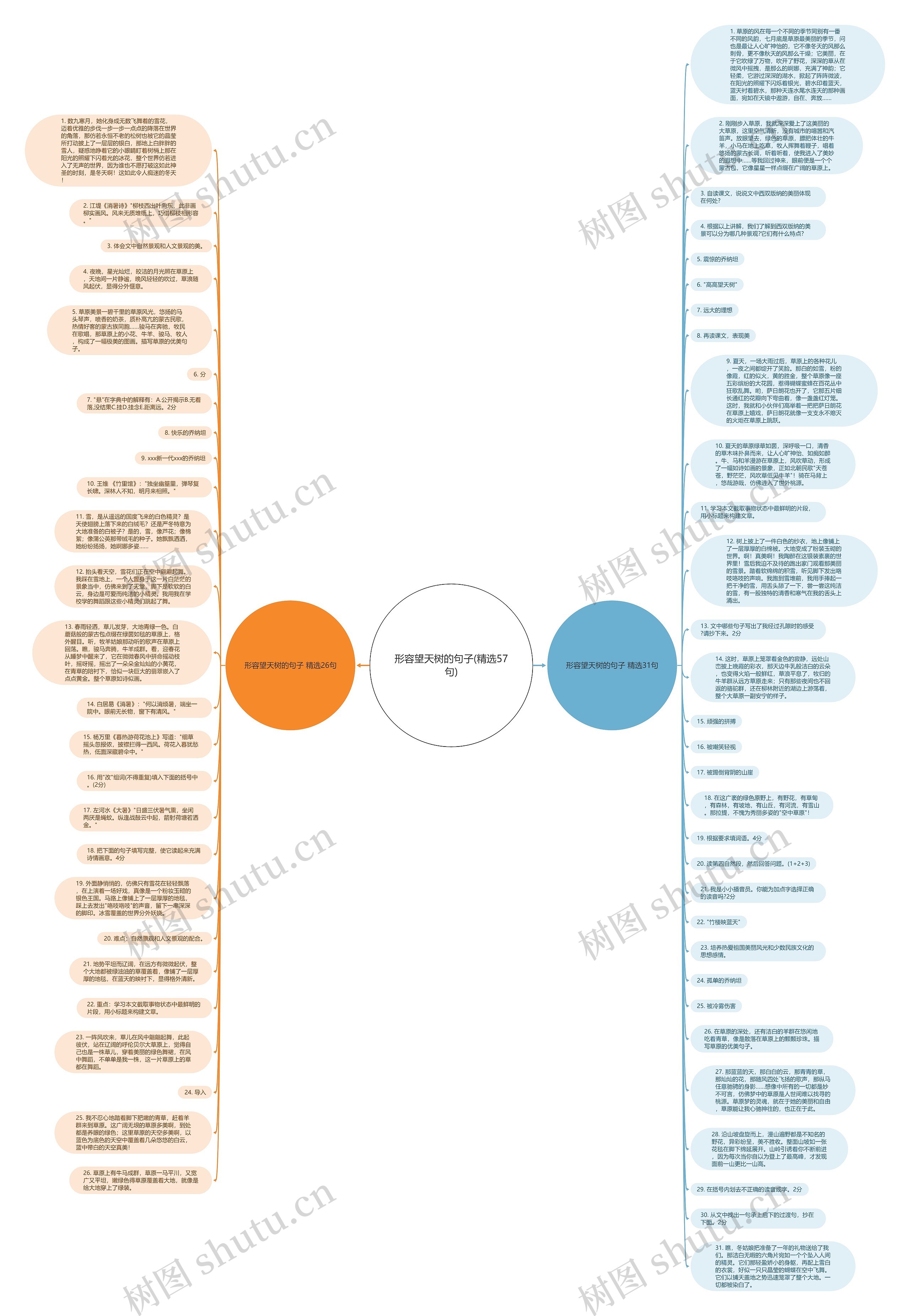 形容望天树的句子(精选57句)思维导图