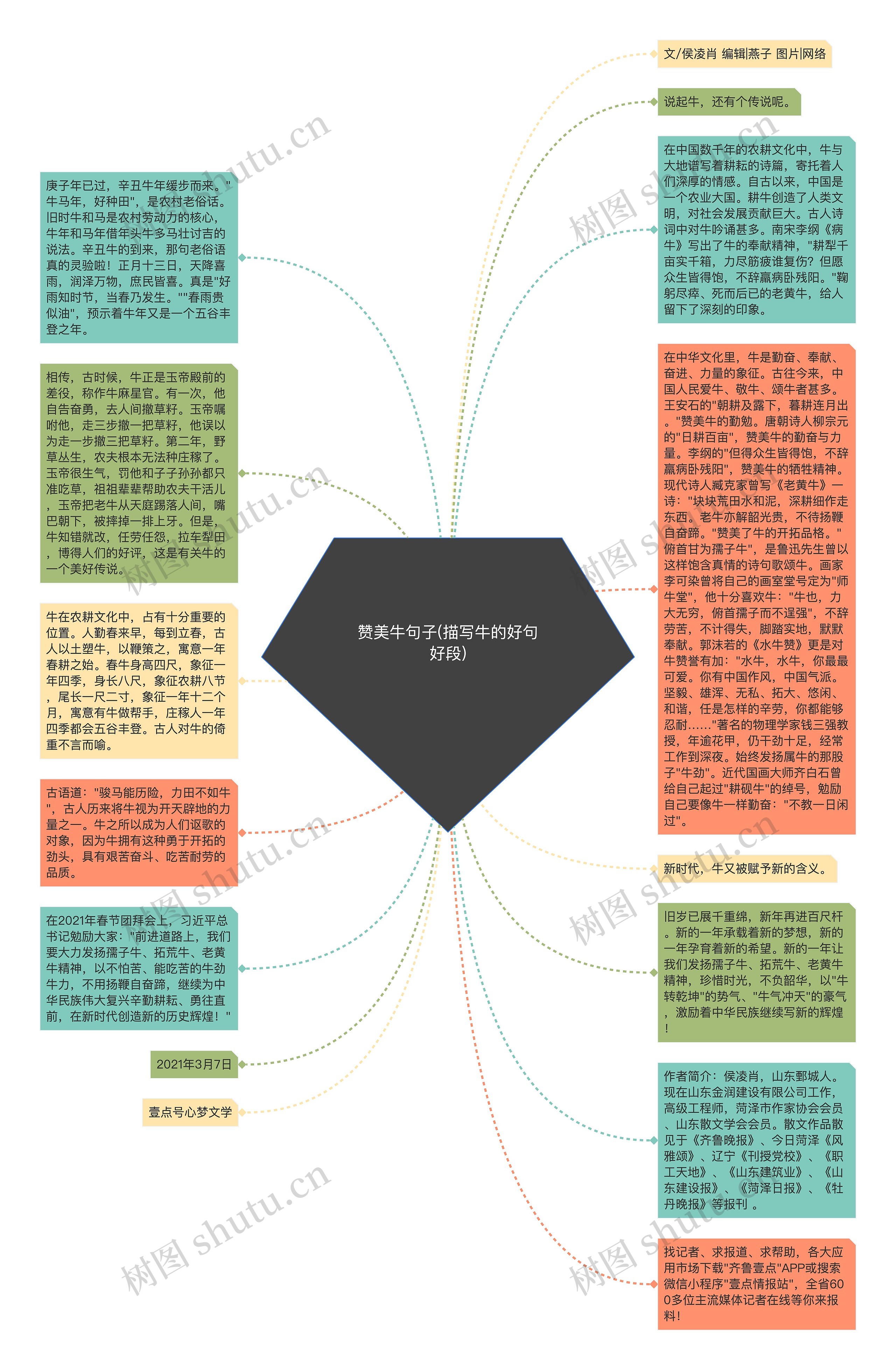 赞美牛句子(描写牛的好句好段)思维导图