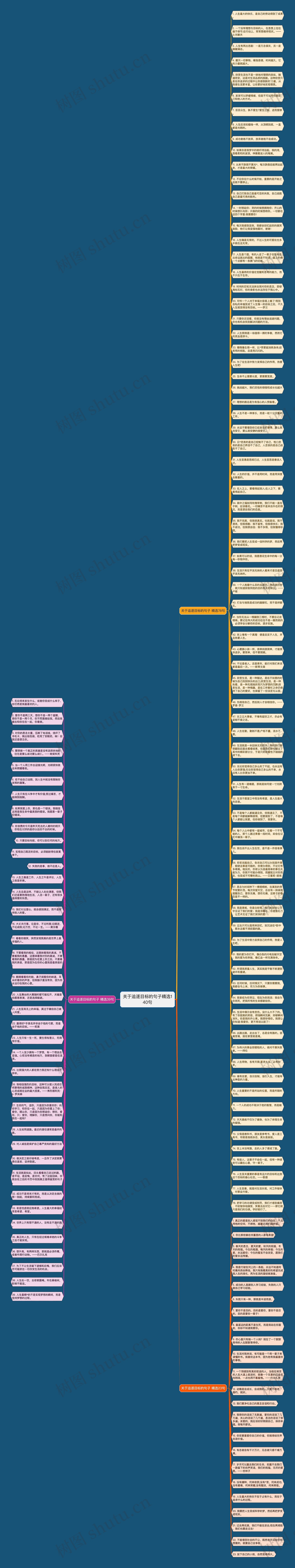 关于追逐目标的句子精选140句思维导图