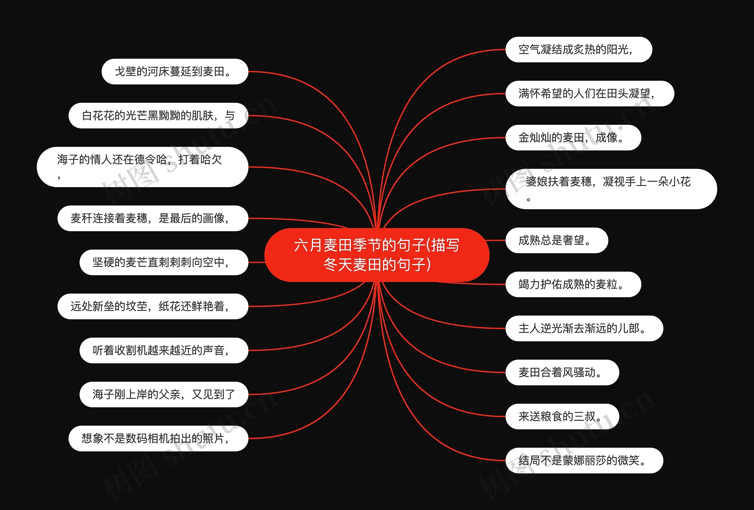 六月麦田季节的句子(描写冬天麦田的句子)思维导图