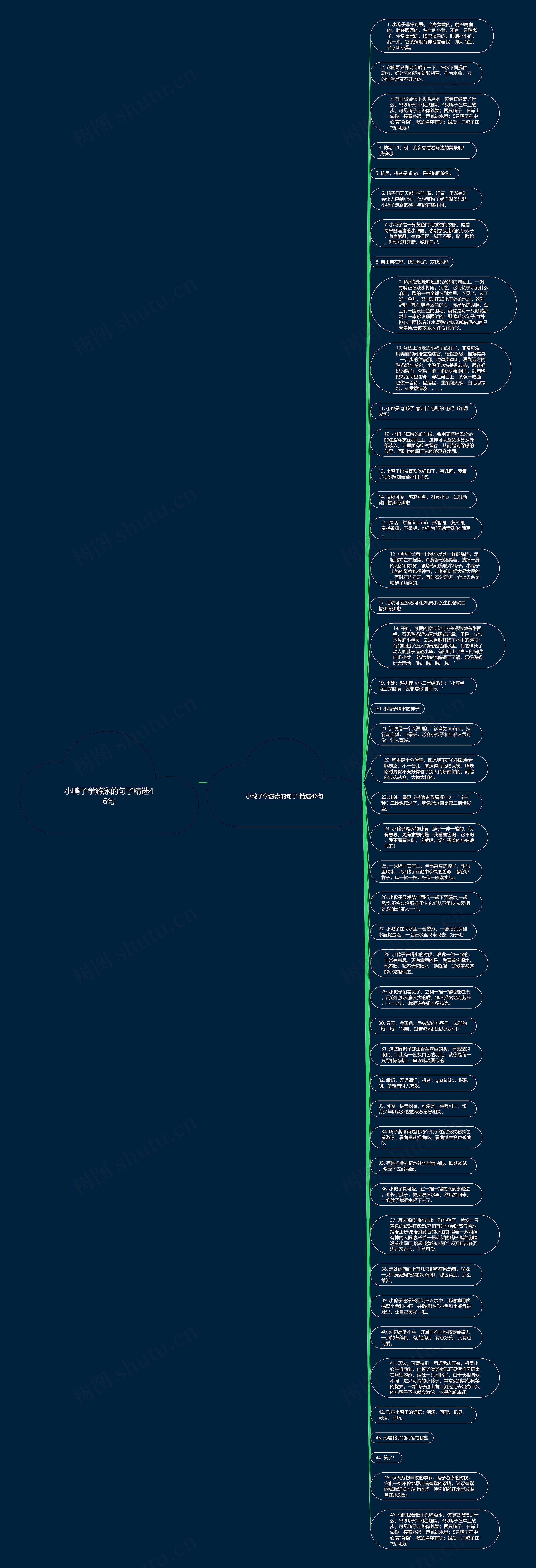 小鸭子学游泳的句子精选46句思维导图