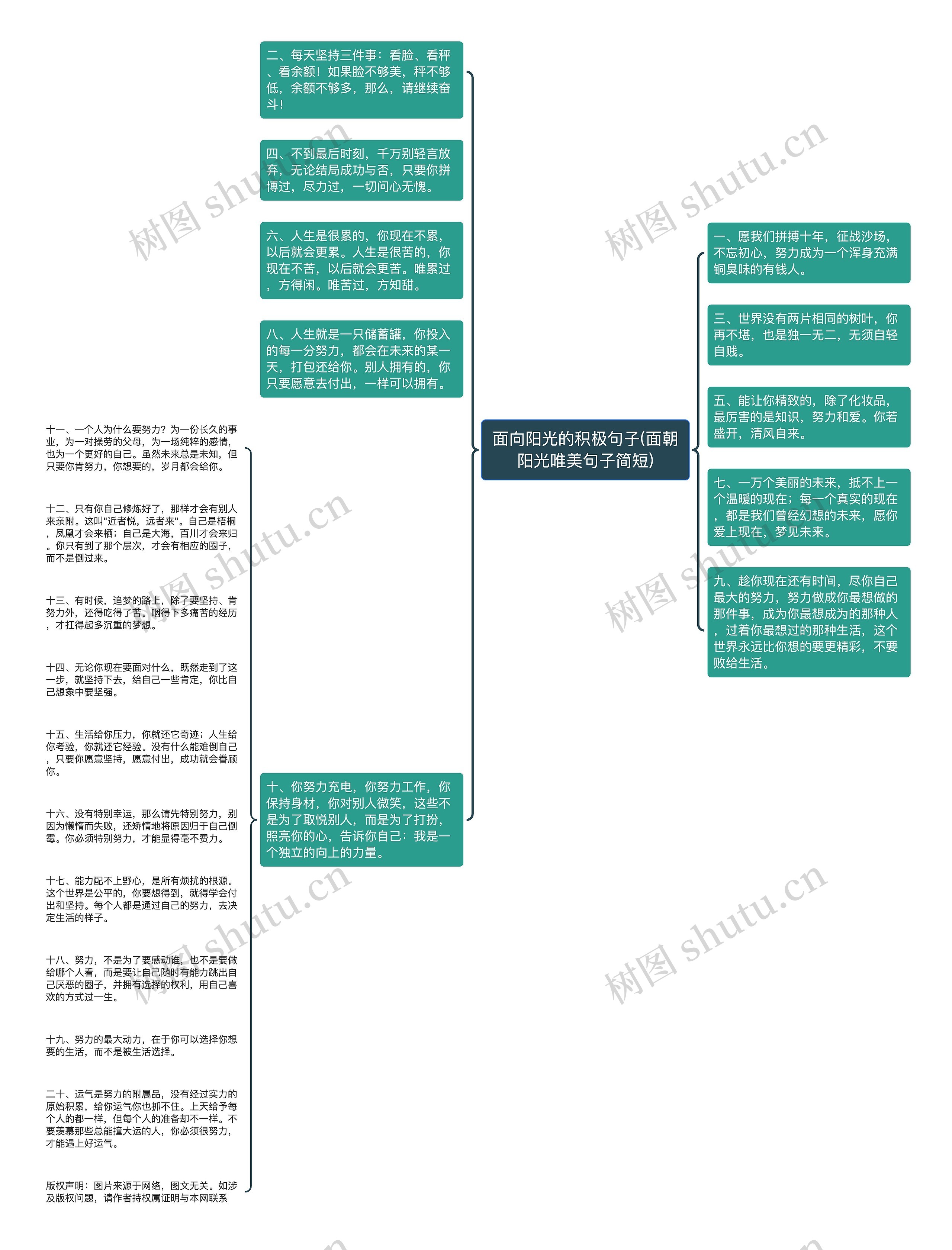 面向阳光的积极句子(面朝阳光唯美句子简短)