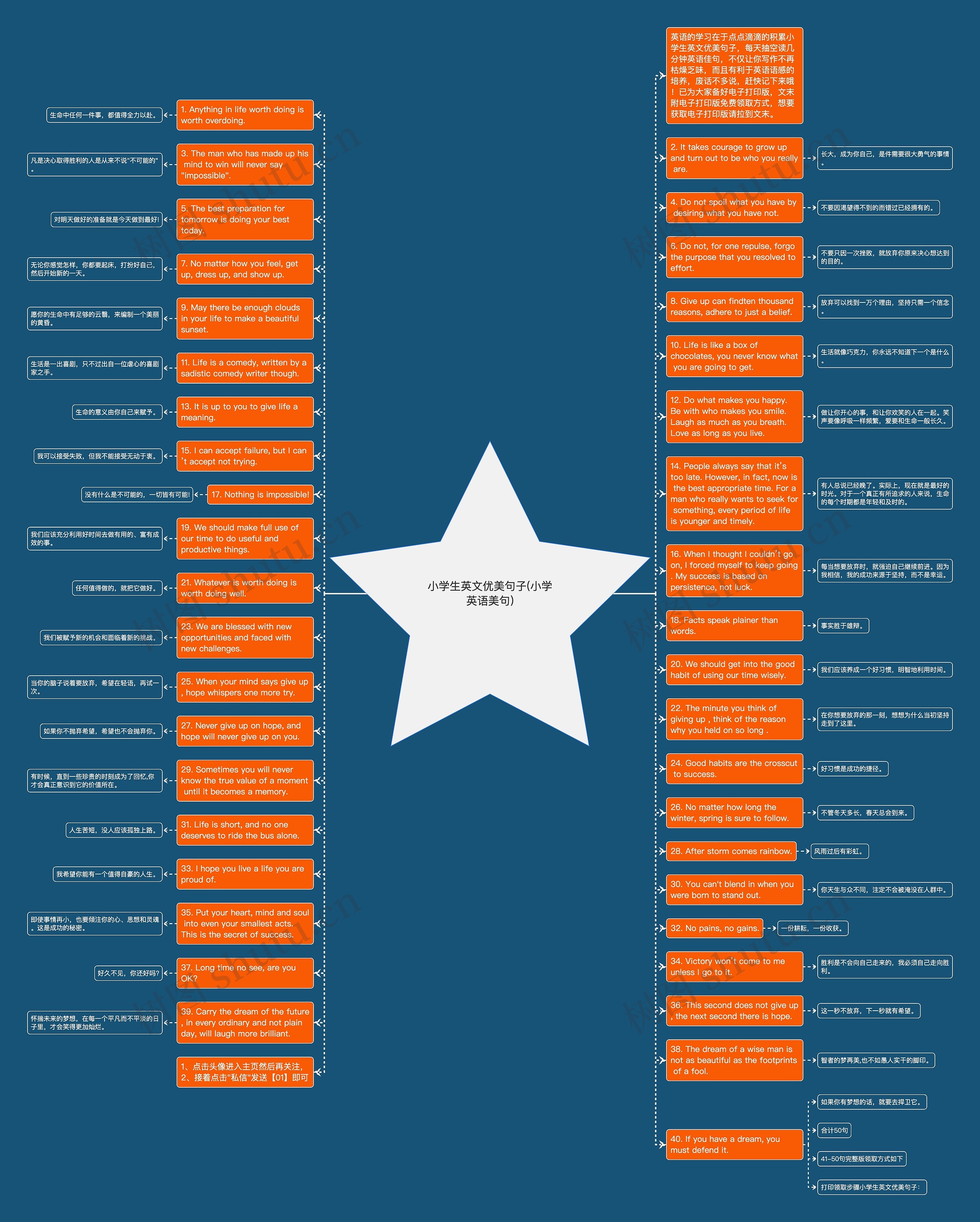 小学生英文优美句子(小学英语美句)思维导图