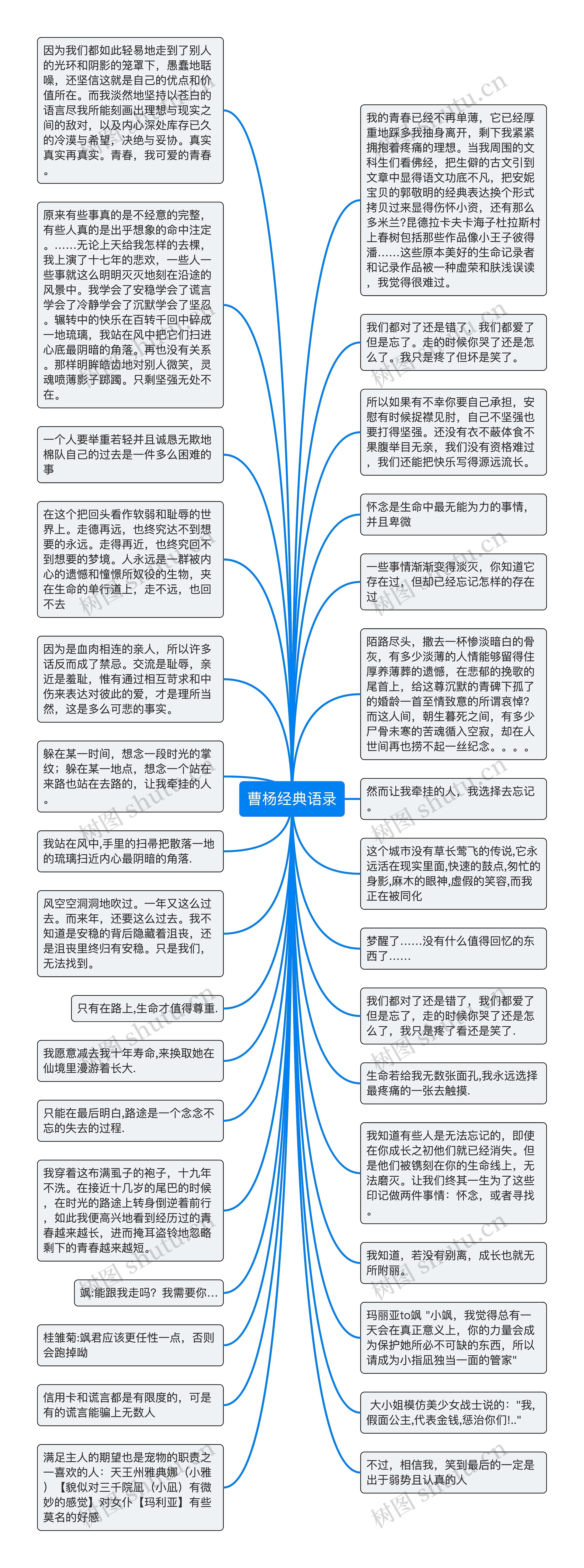 曹杨经典语录