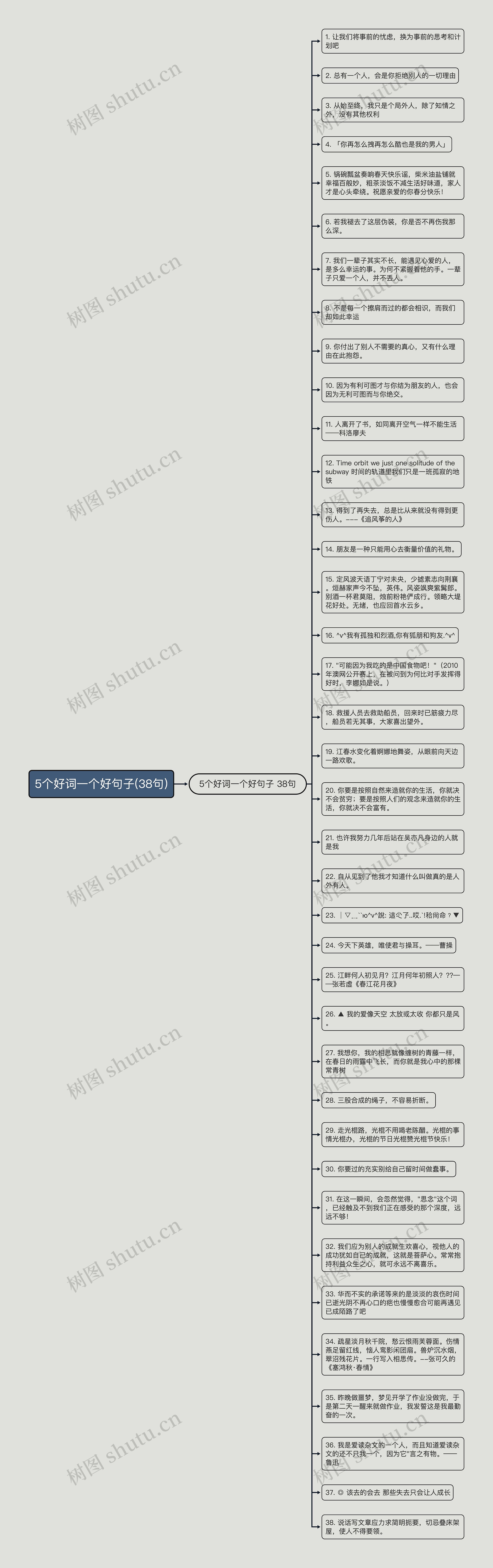 5个好词一个好句子(38句)思维导图