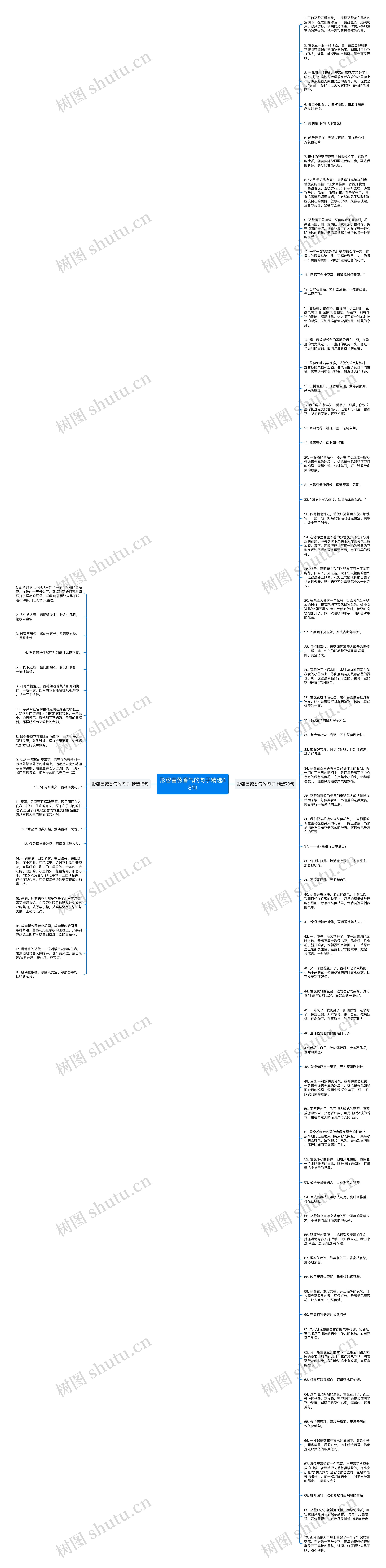 形容蔷薇香气的句子精选88句思维导图