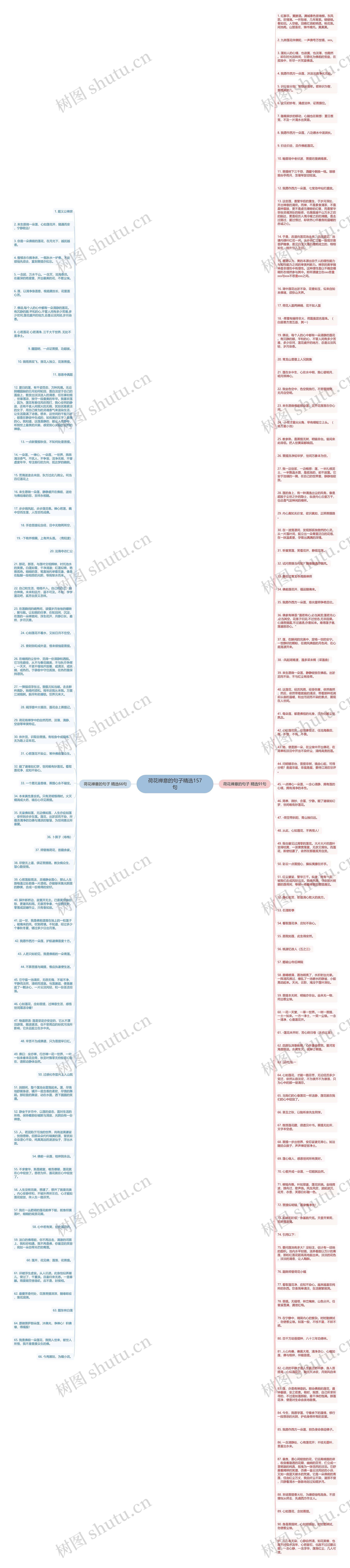 荷花禅意的句子精选157句思维导图