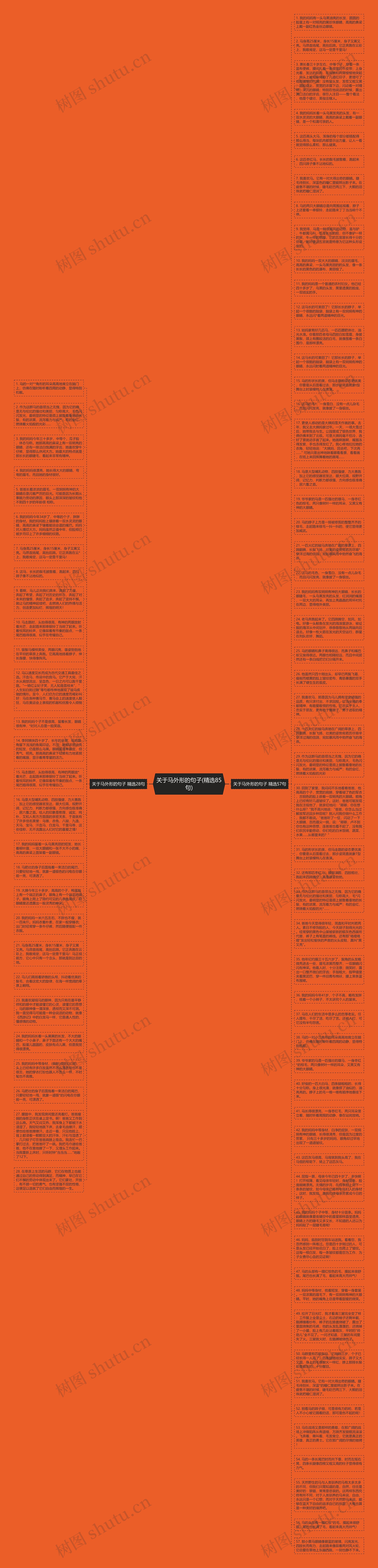 关于马外形的句子(精选85句)思维导图