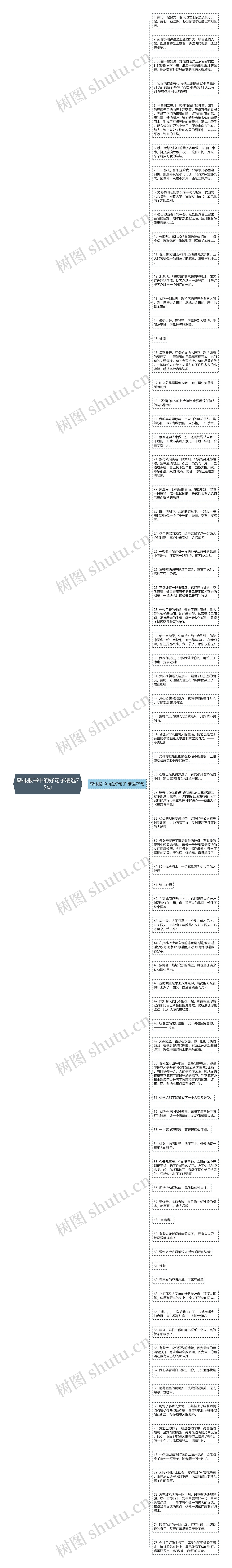 森林报书中的好句子精选75句