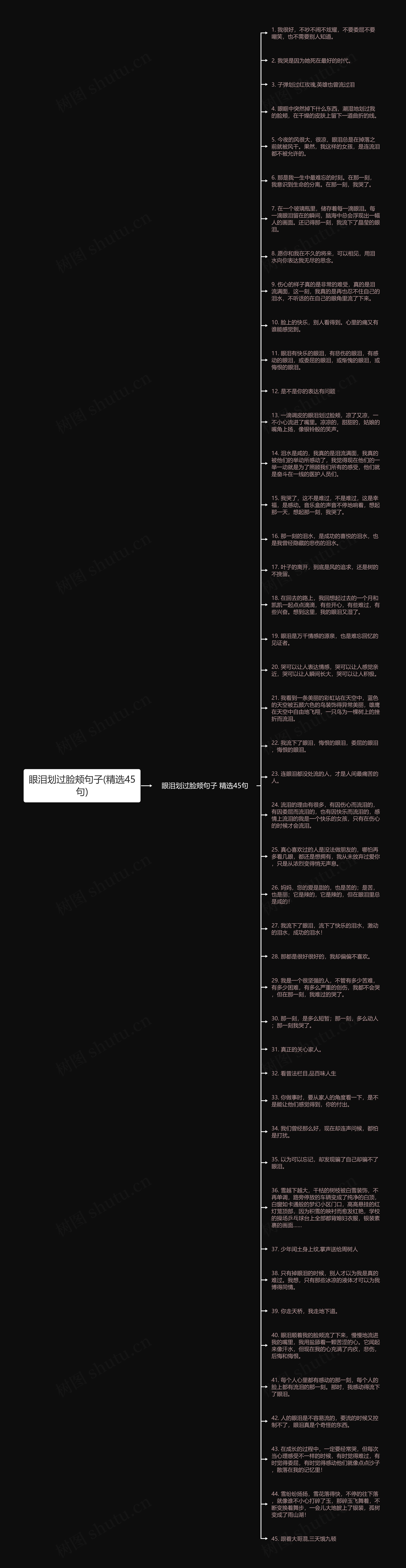 眼泪划过脸颊句子(精选45句)思维导图