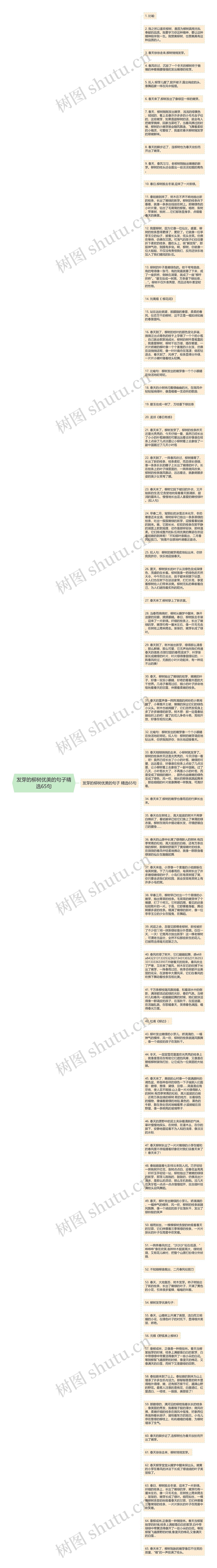 发芽的柳树优美的句子精选65句