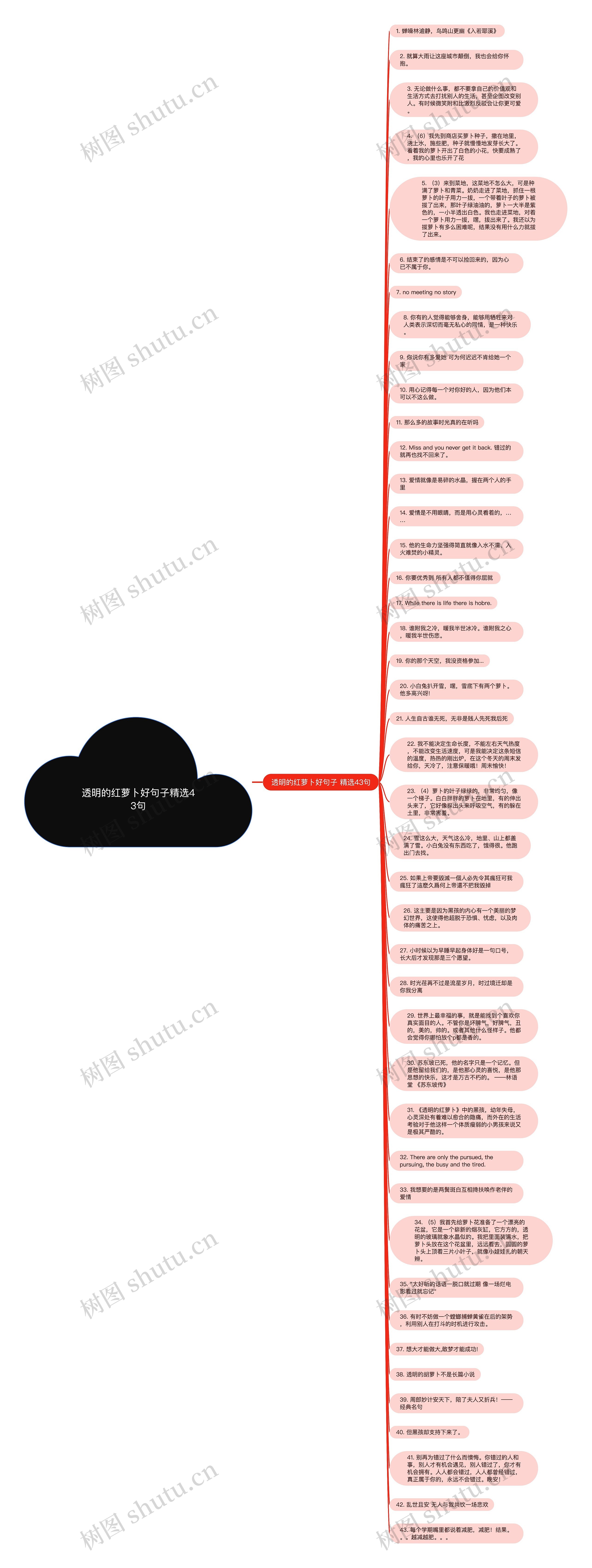 透明的红萝卜好句子精选43句