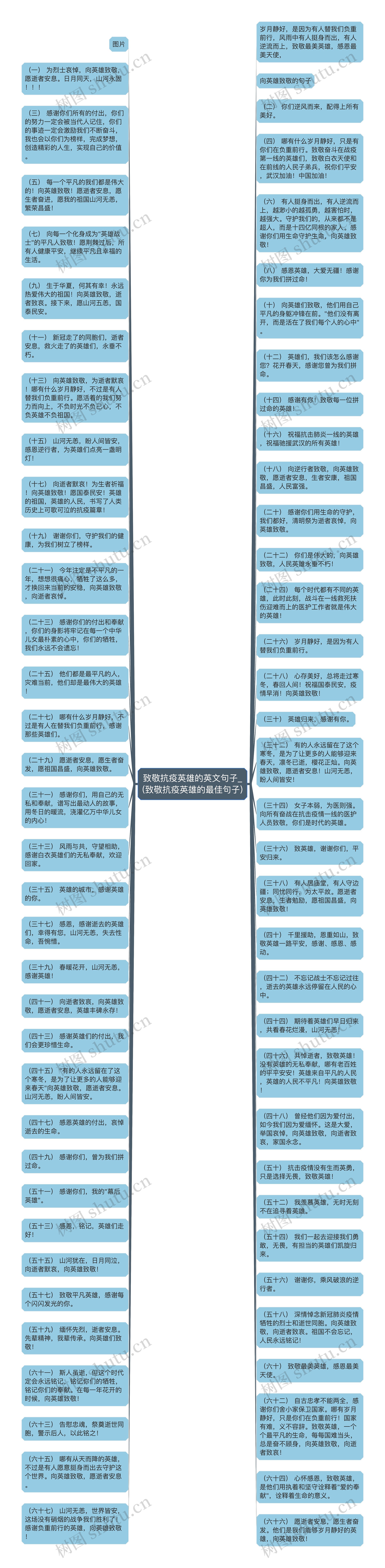 致敬抗疫英雄的英文句子_(致敬抗疫英雄的最佳句子)思维导图