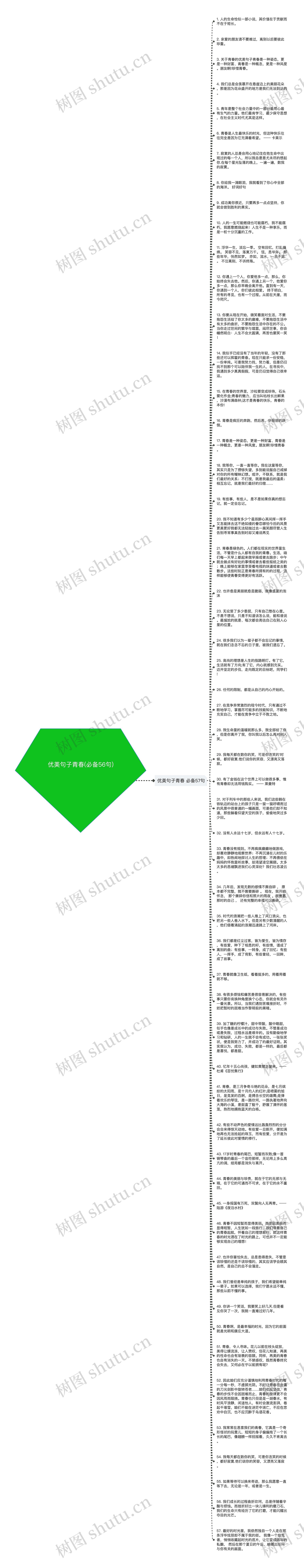 优美句子青春(必备56句)思维导图