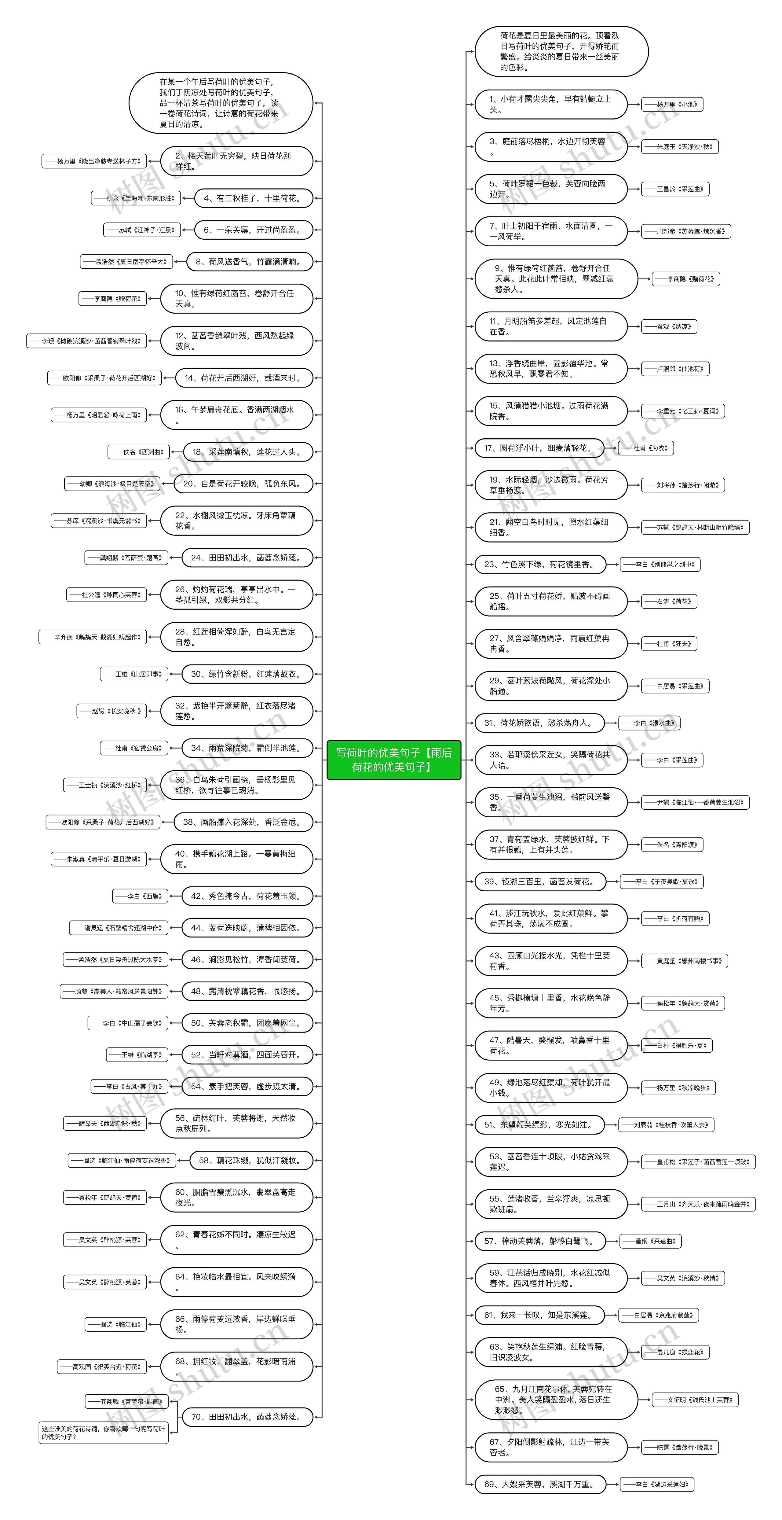 写荷叶的优美句子【雨后荷花的优美句子】思维导图