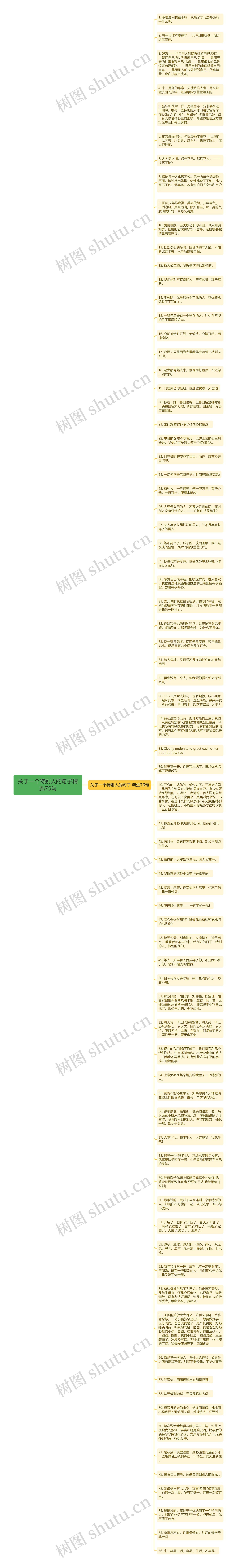 关于一个特别人的句子精选75句思维导图