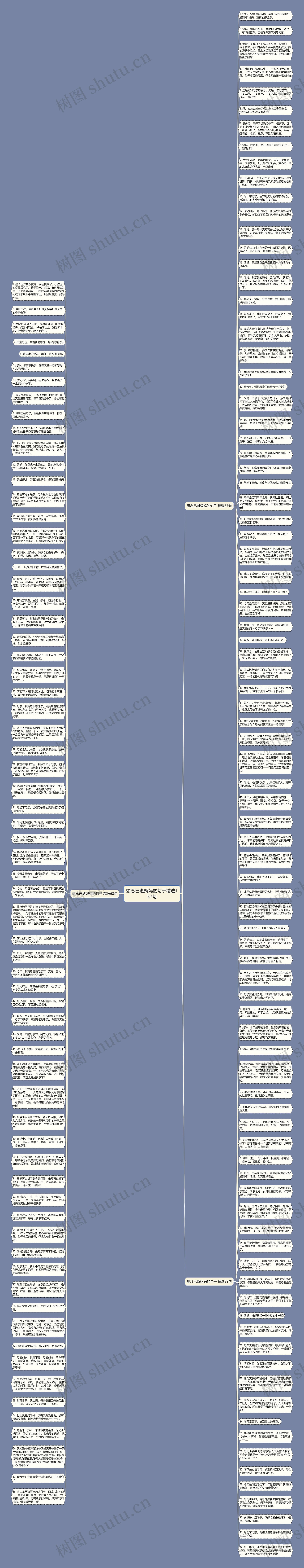 想念已逝妈妈的句子精选157句思维导图