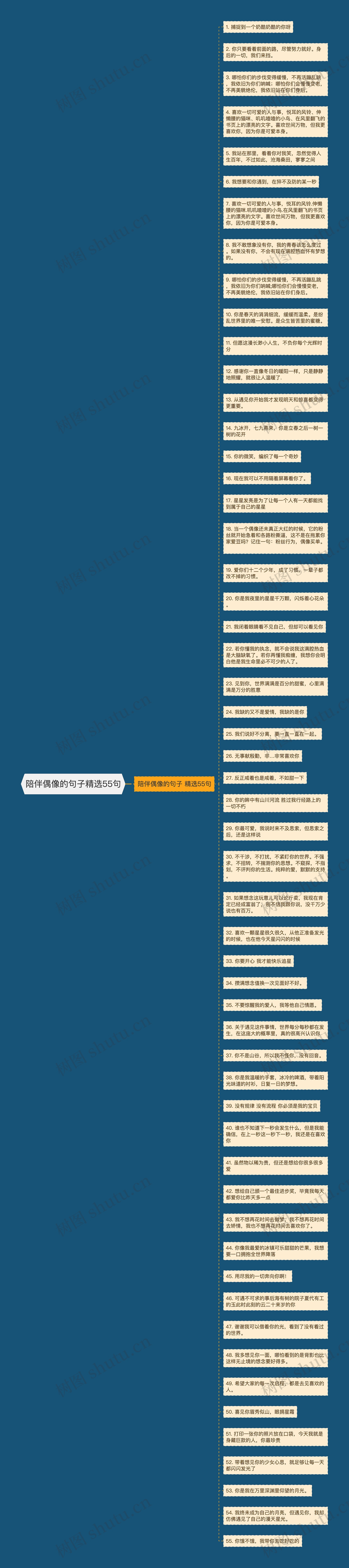 陪伴偶像的句子精选55句