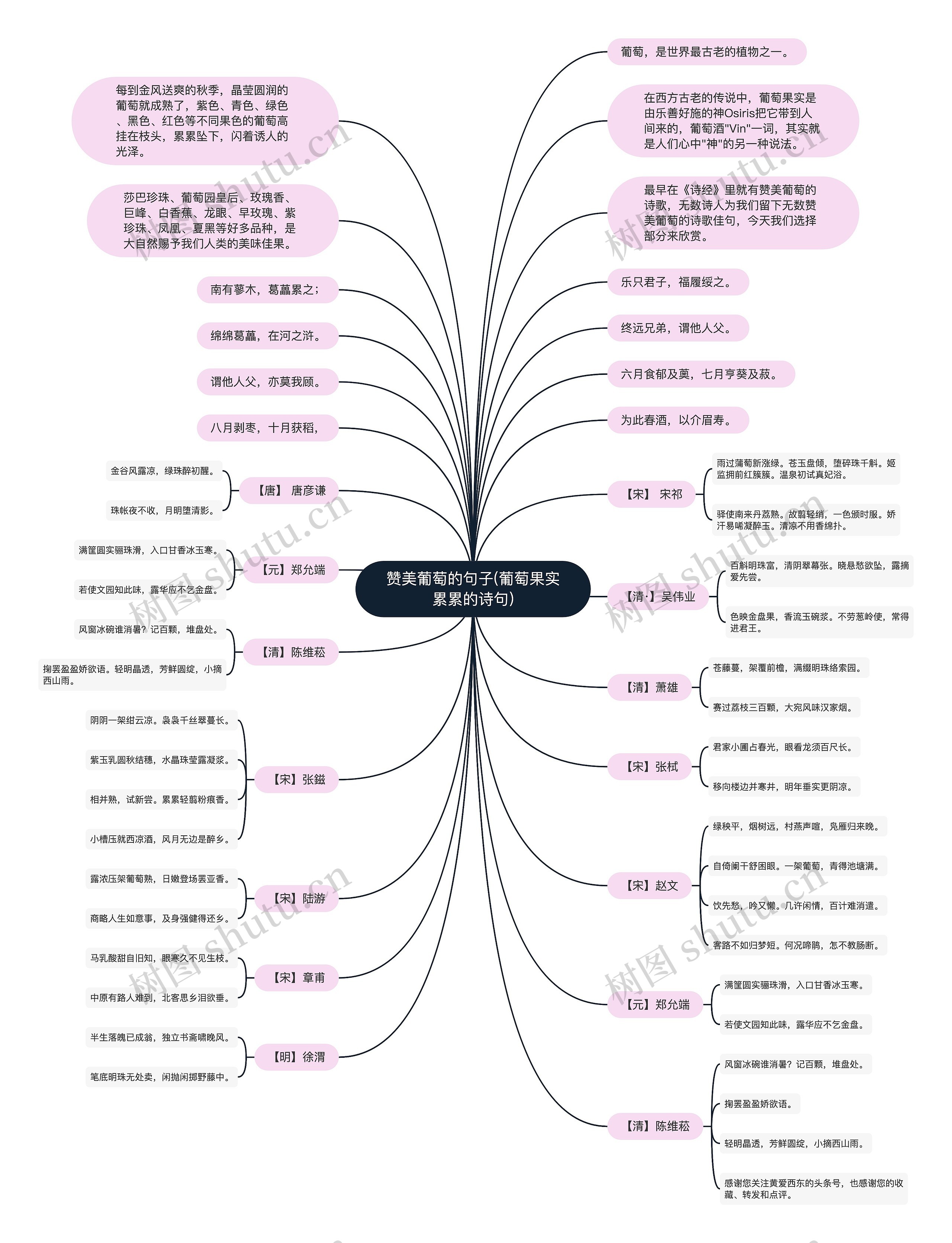 赞美葡萄的句子(葡萄果实累累的诗句)思维导图