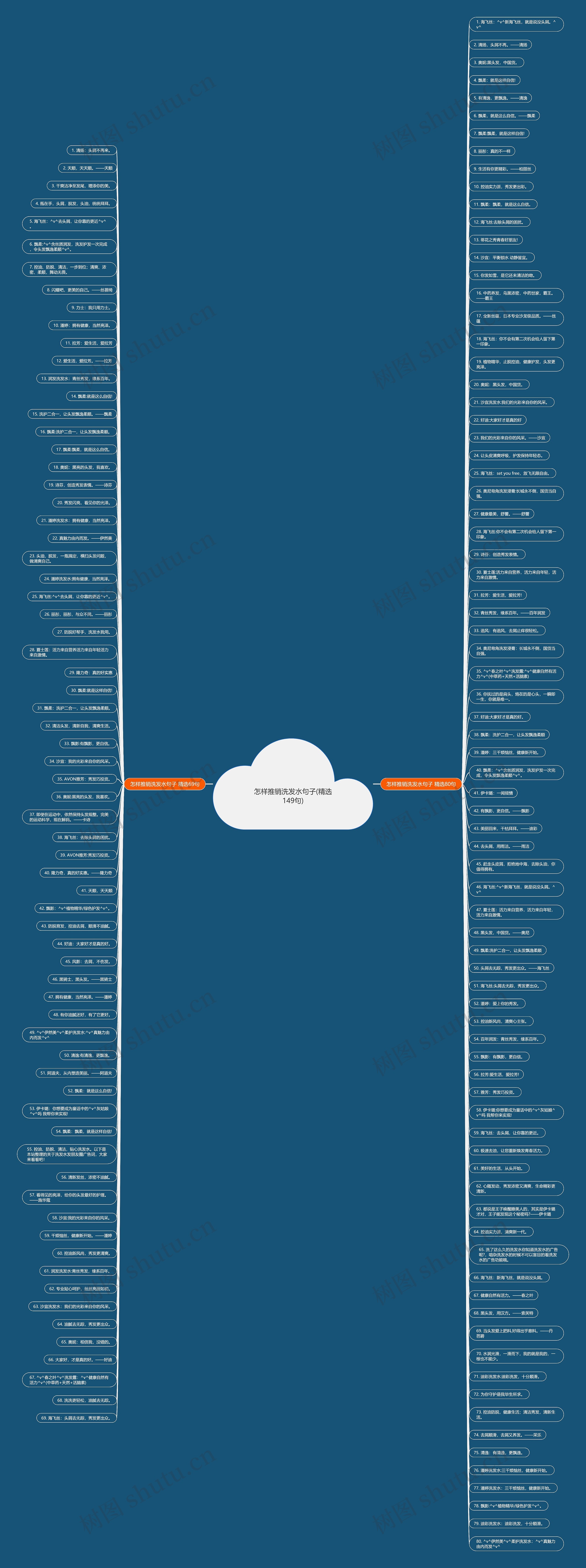 怎样推销洗发水句子(精选149句)思维导图