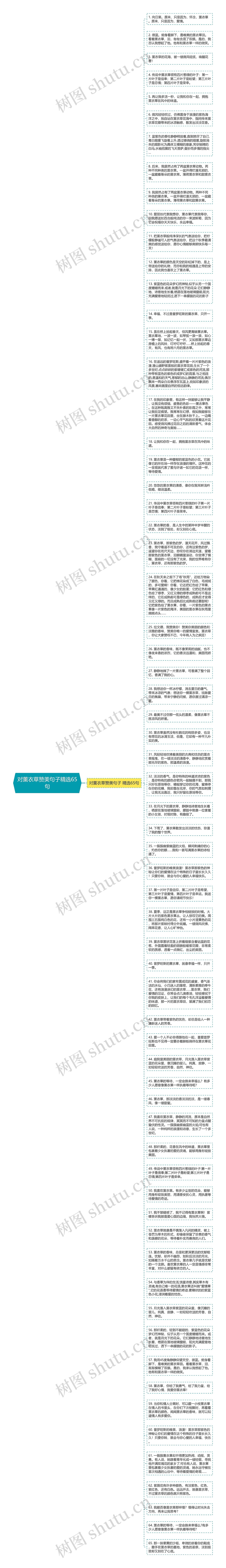 对薰衣草赞美句子精选65句