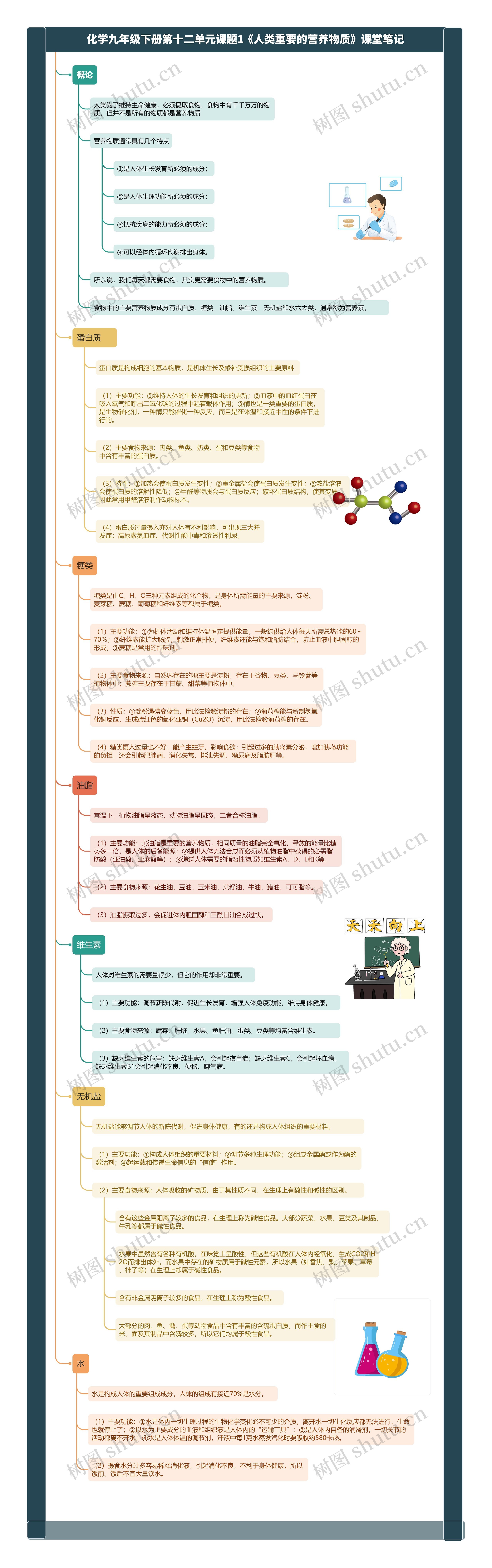 化学九年级下册第十二单元课题1《人类重要的营养物质》课堂笔记