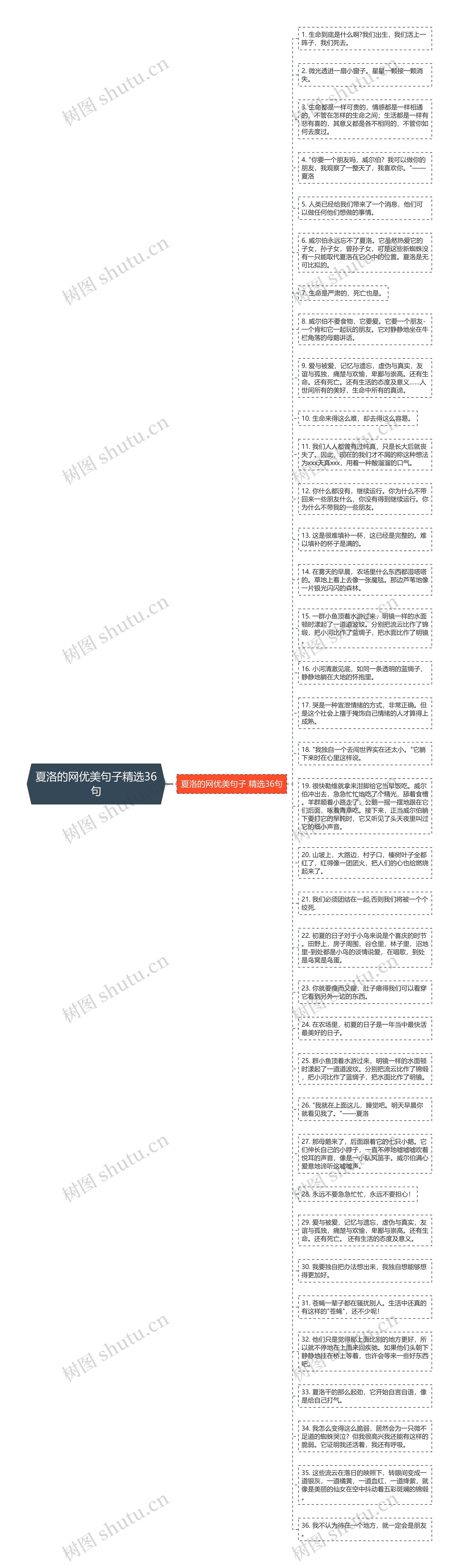 夏洛的网优美句子精选36句思维导图