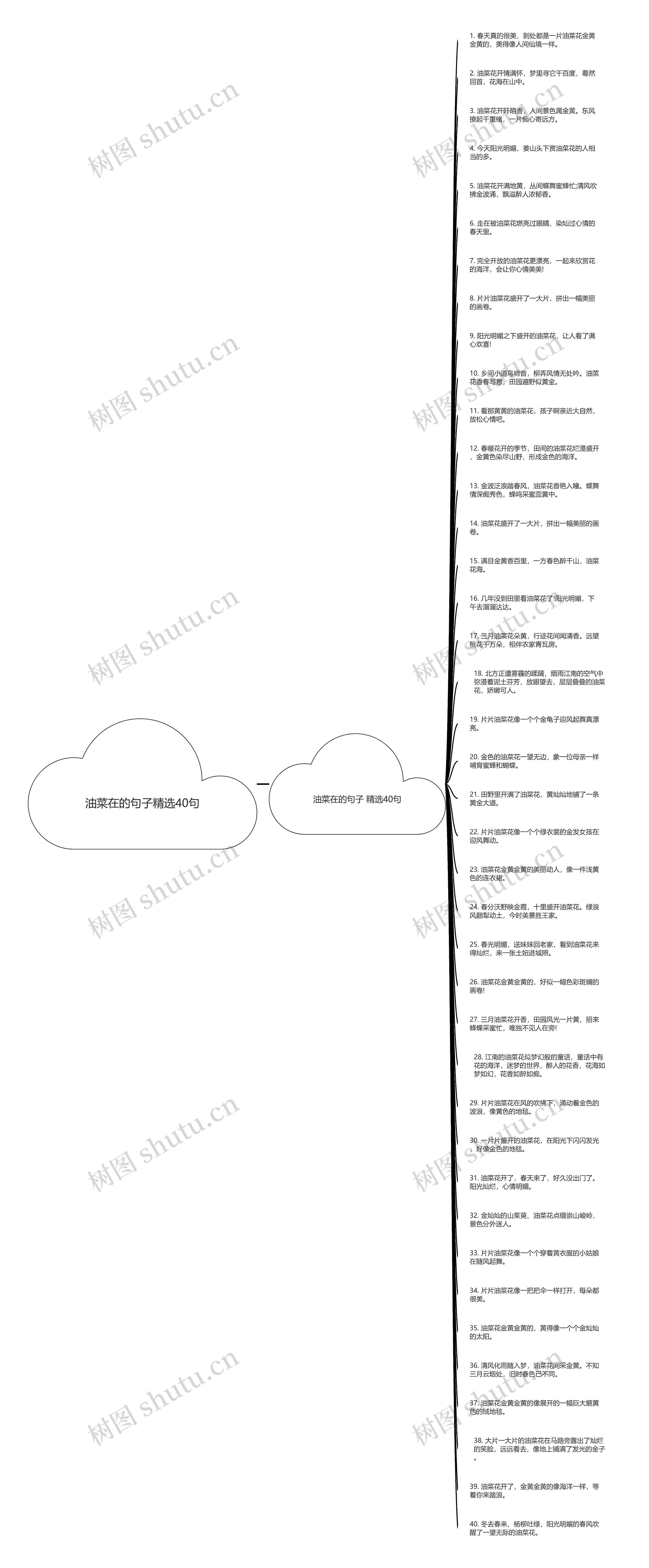 油菜在的句子精选40句思维导图