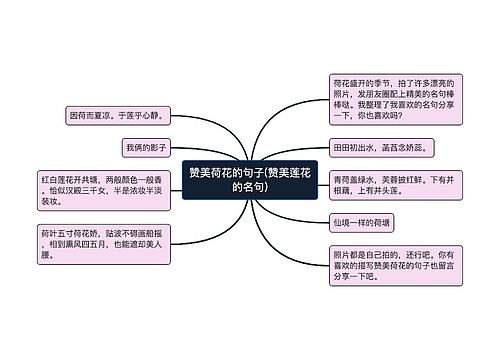 赞美荷花的句子(赞美莲花的名句)