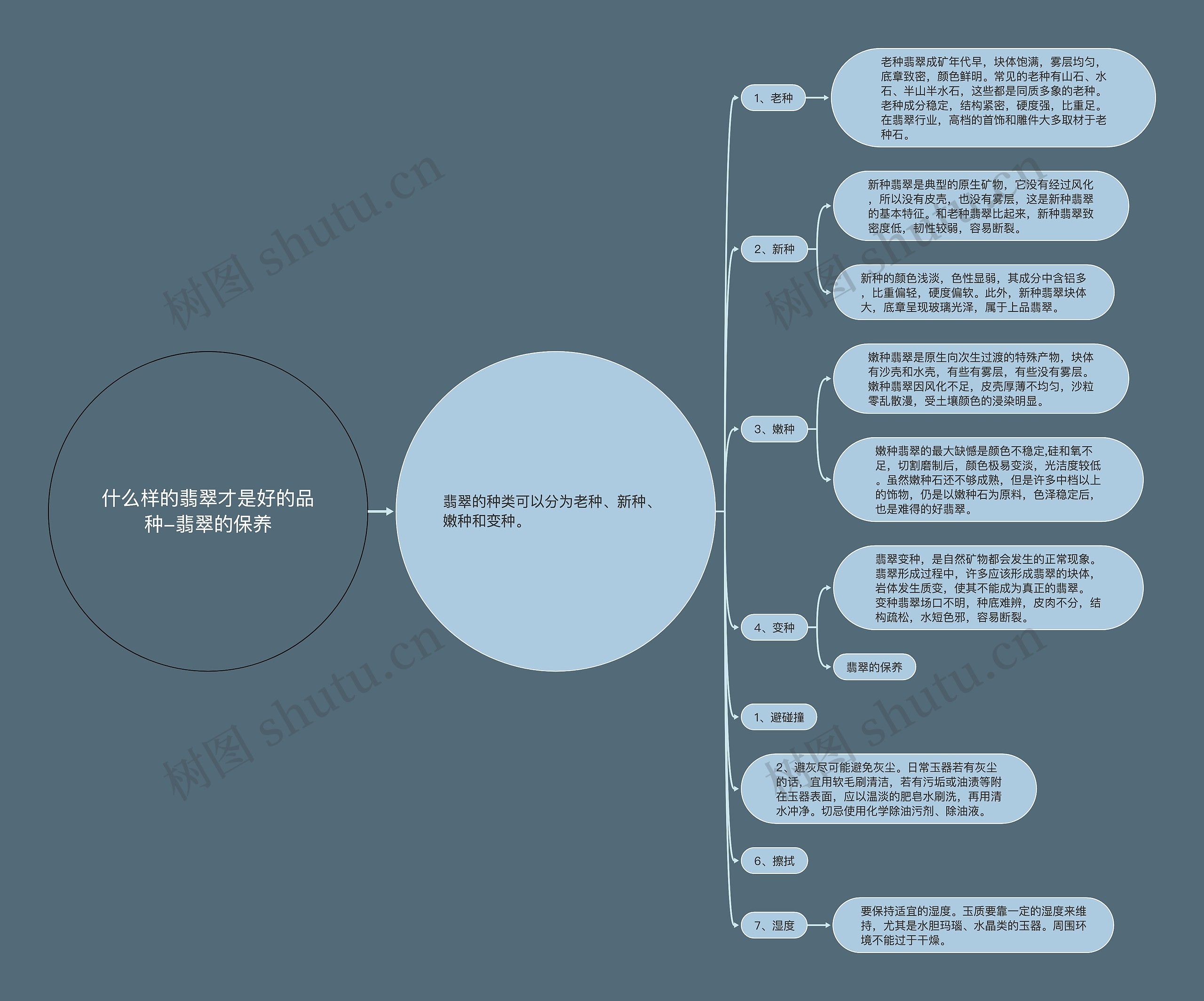 什么样的翡翠才是好的品种-翡翠的保养思维导图