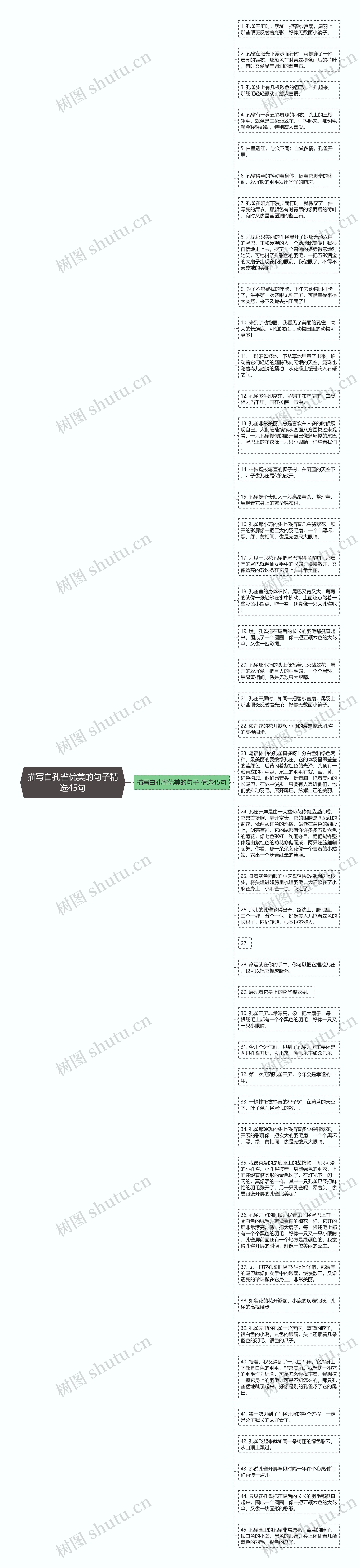 描写白孔雀优美的句子精选45句思维导图