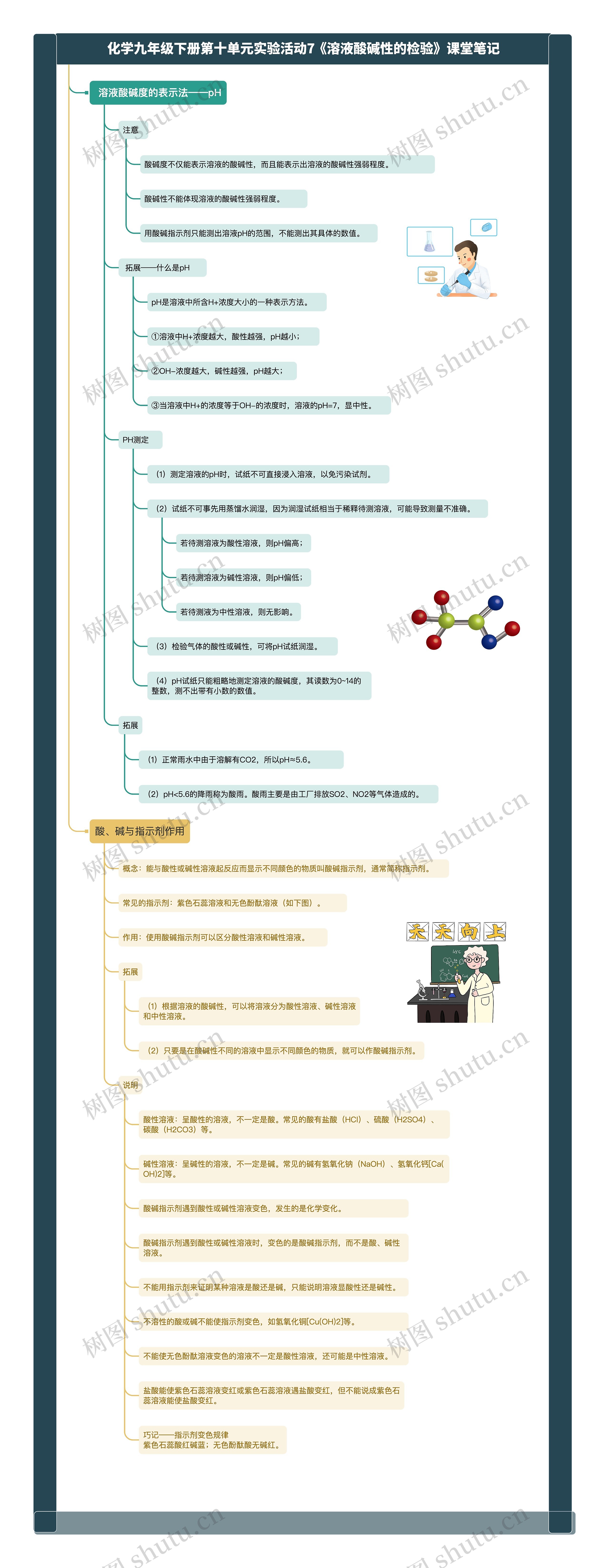 化学九年级下册第十单元实验活动7《溶液酸碱性的检验》课堂笔记