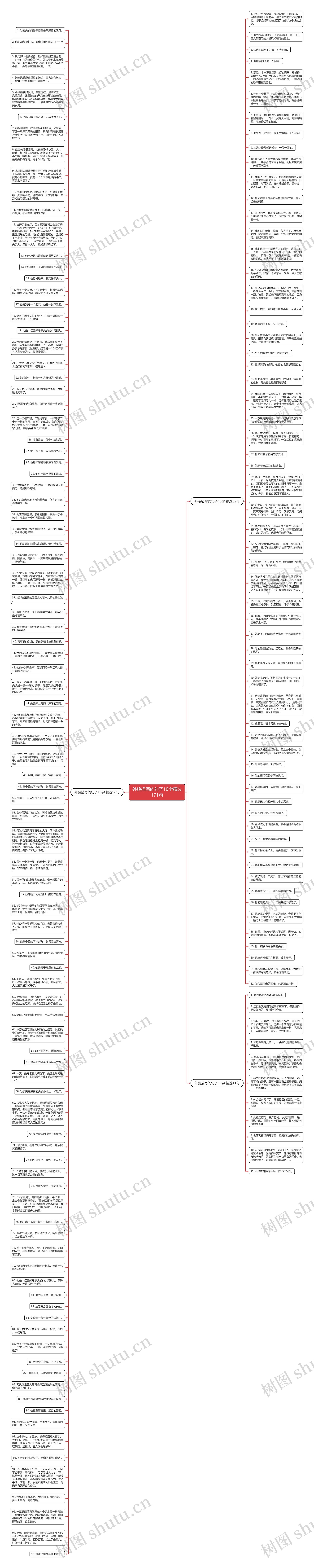 外貌描写的句子10字精选171句思维导图