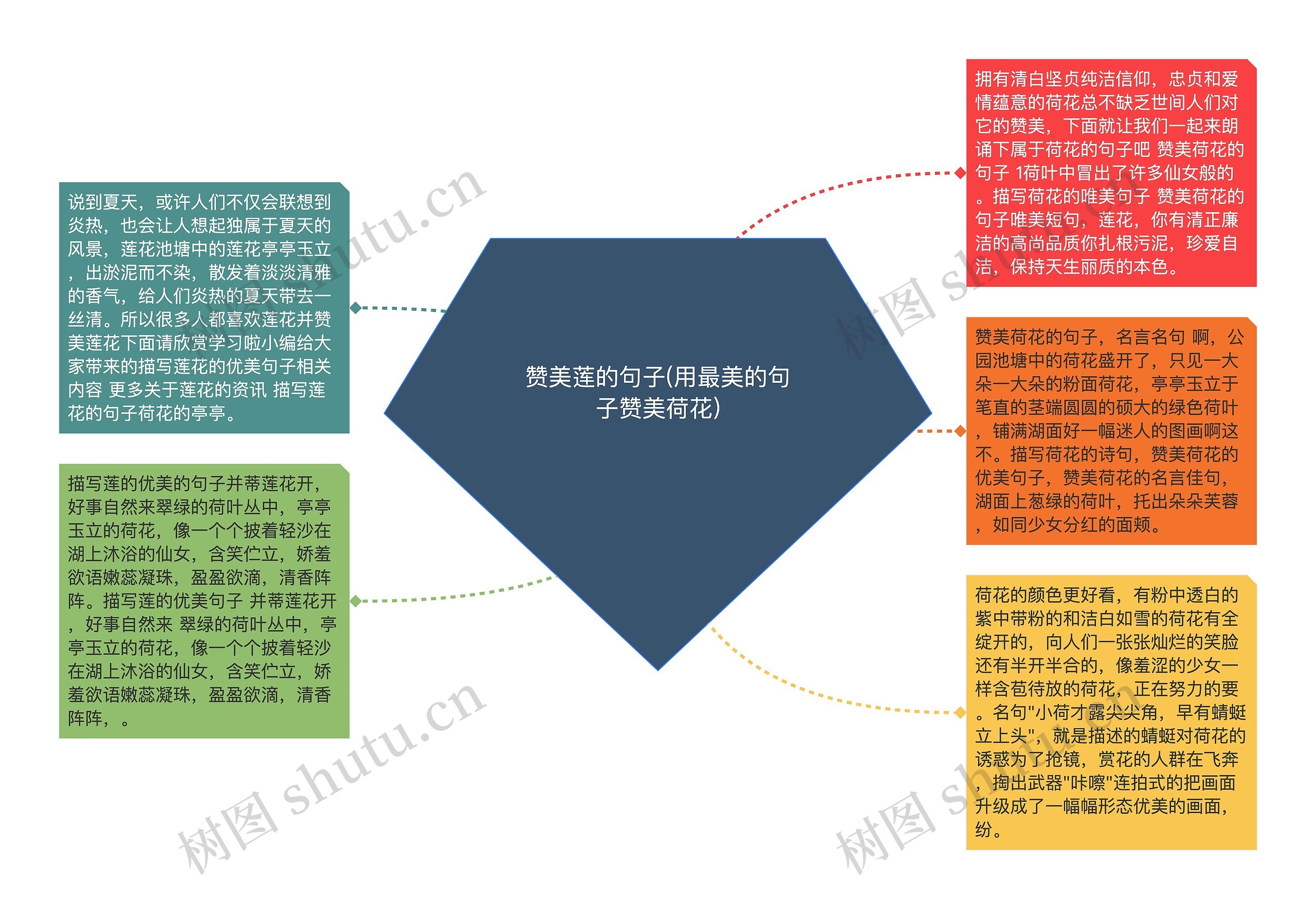 赞美莲的句子(用最美的句子赞美荷花)思维导图