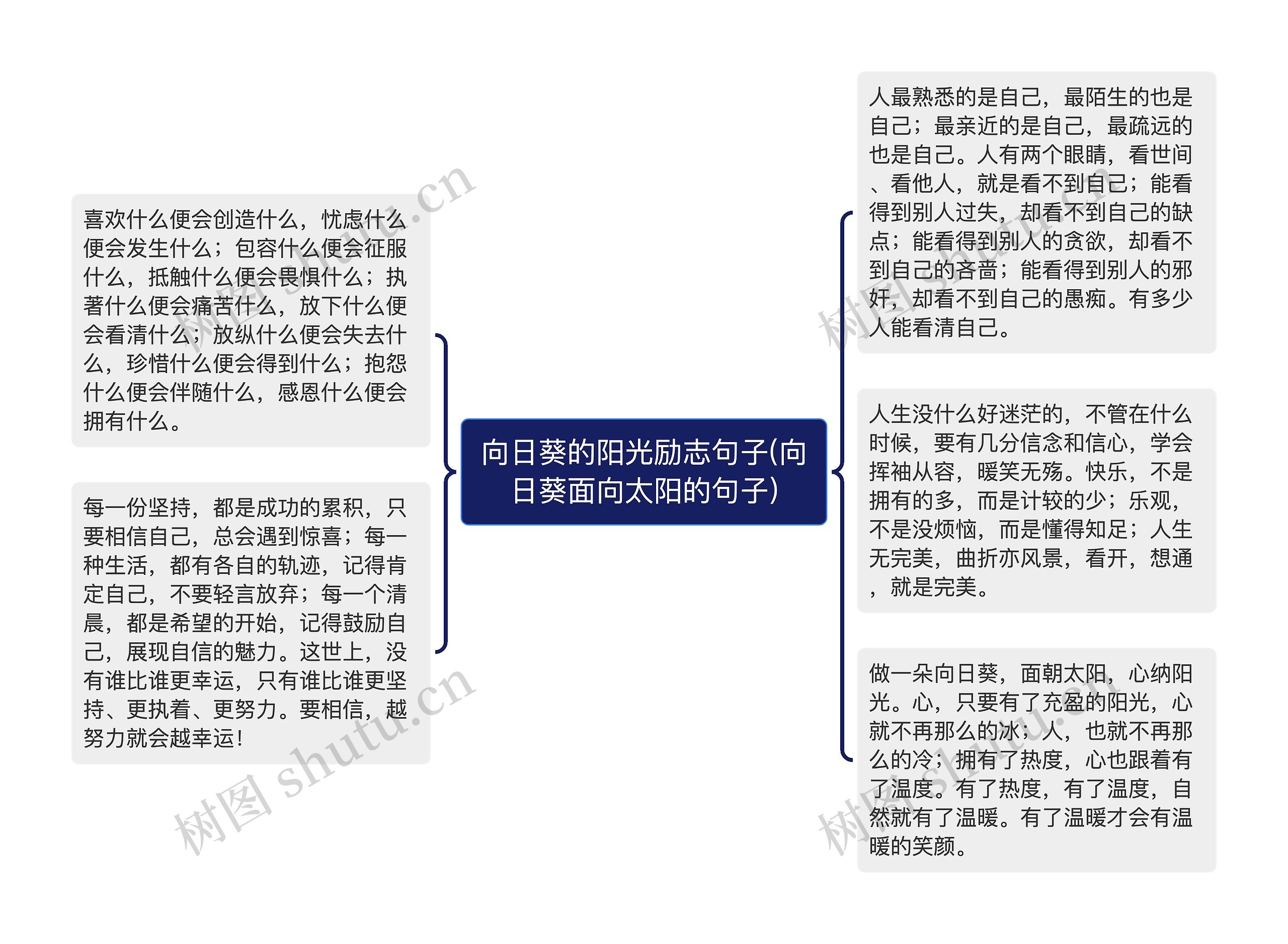 向日葵的阳光励志句子(向日葵面向太阳的句子)思维导图