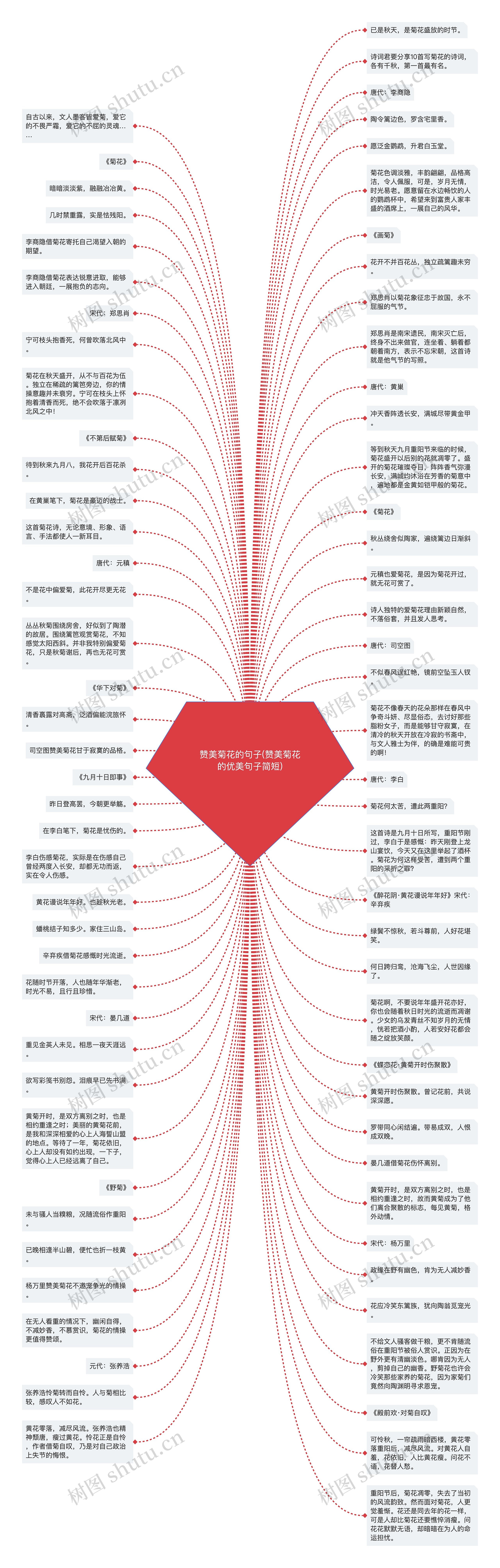 赞美菊花的句子(赞美菊花的优美句子简短)思维导图