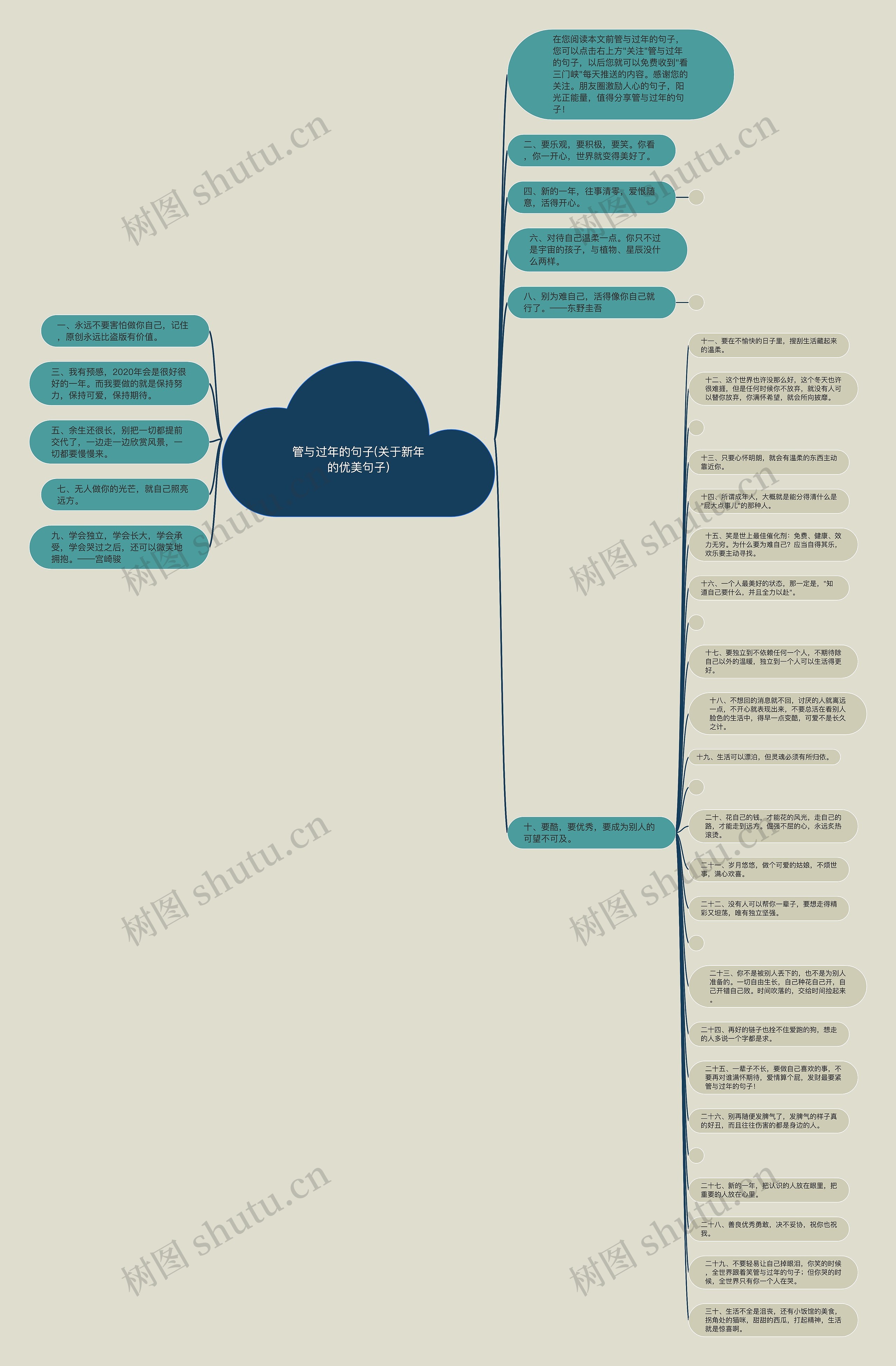 管与过年的句子(关于新年的优美句子)思维导图