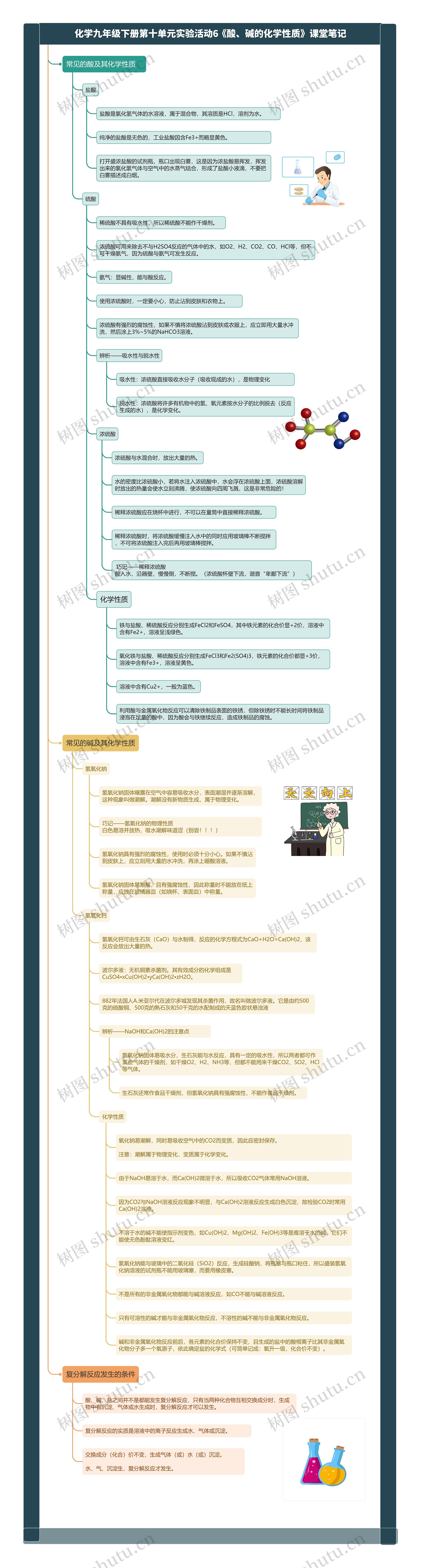 化学九年级下册第十单元实验活动6《酸、碱的化学性质》课堂笔记