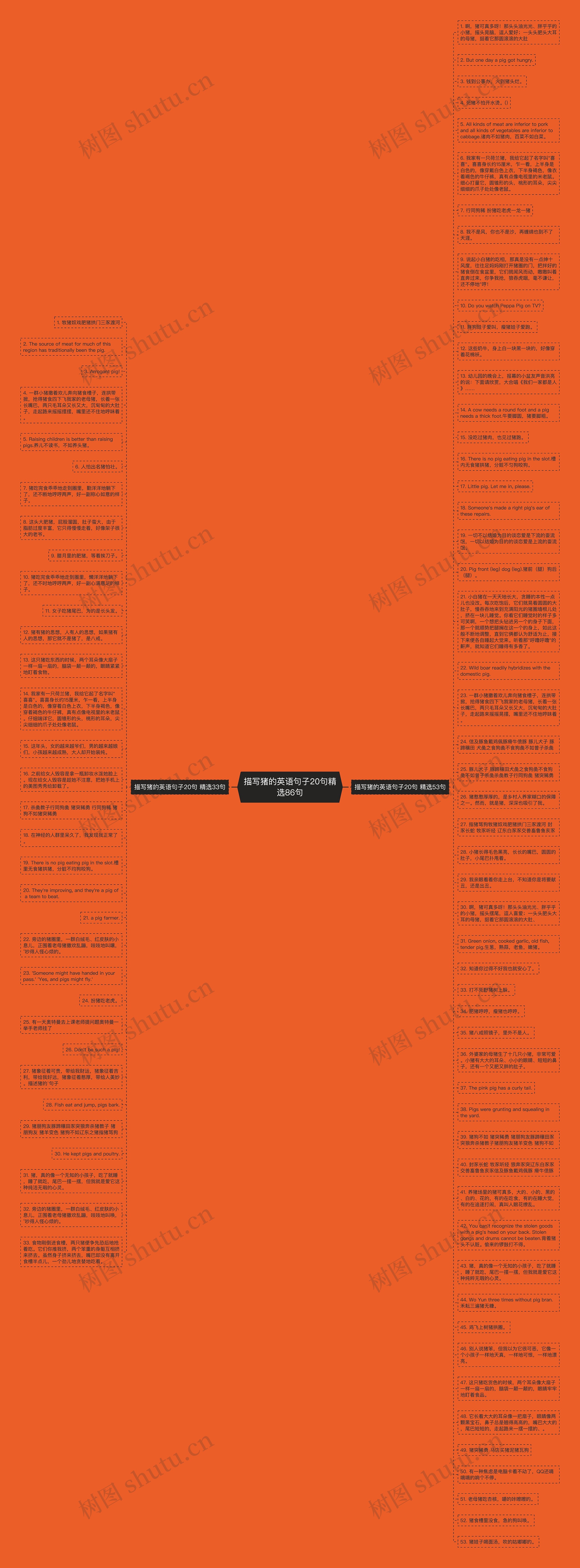 描写猪的英语句子20句精选86句