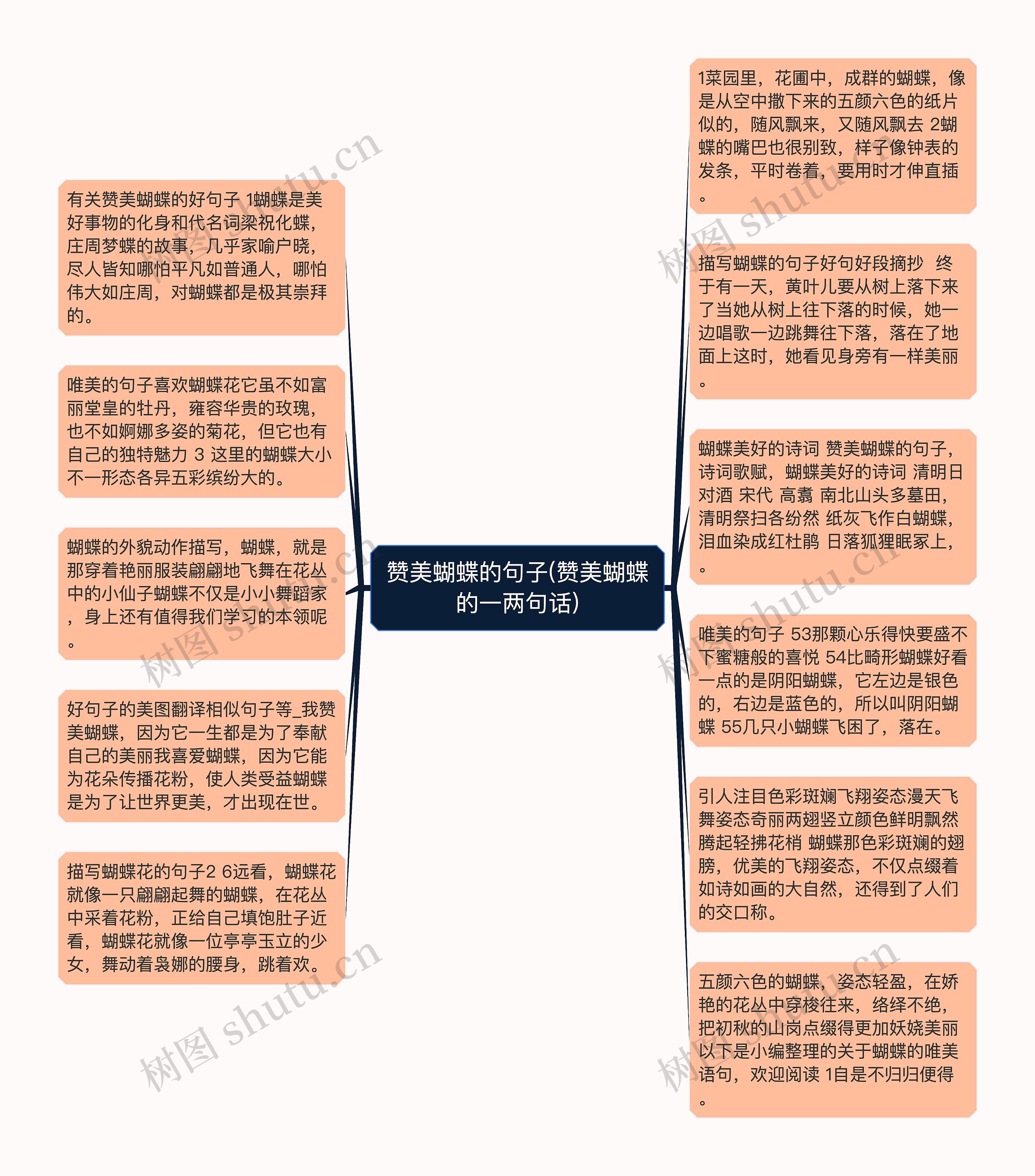 赞美蝴蝶的句子(赞美蝴蝶的一两句话)思维导图