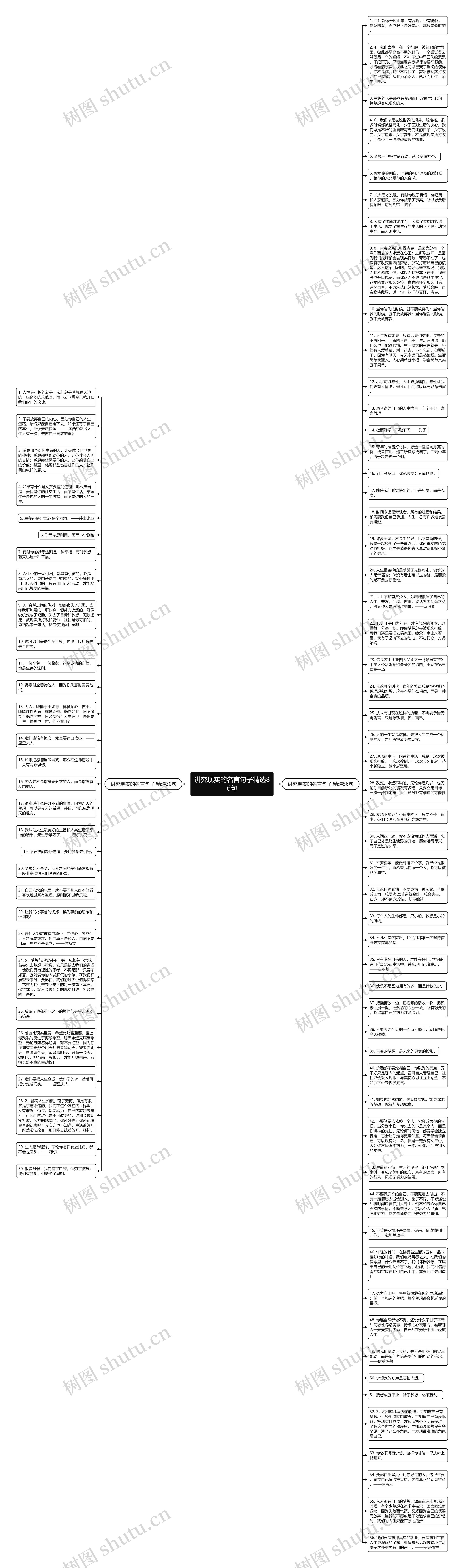 讲究现实的名言句子精选86句思维导图