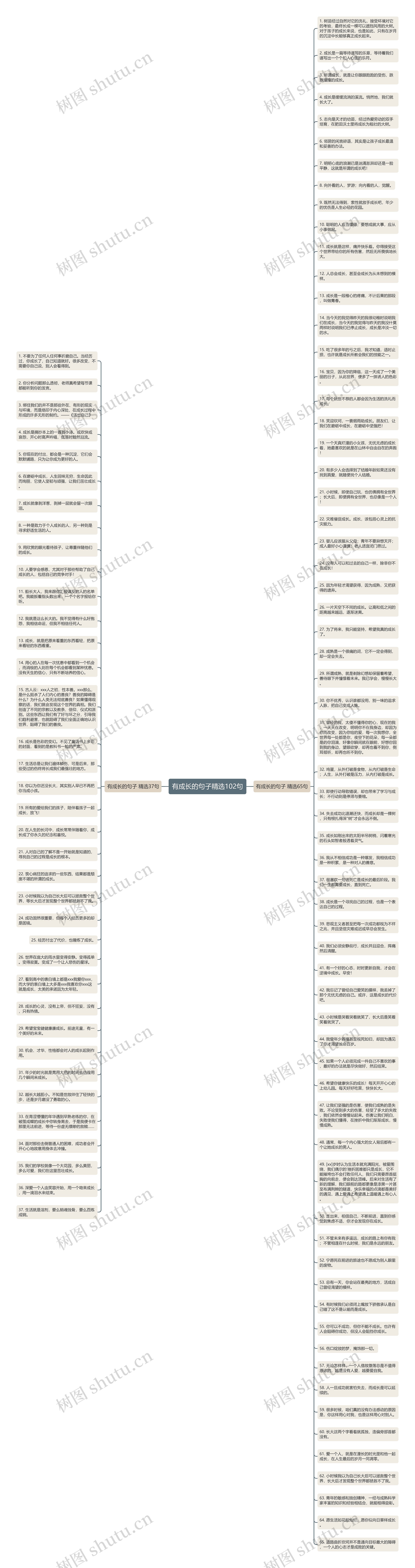 有成长的句子精选102句思维导图